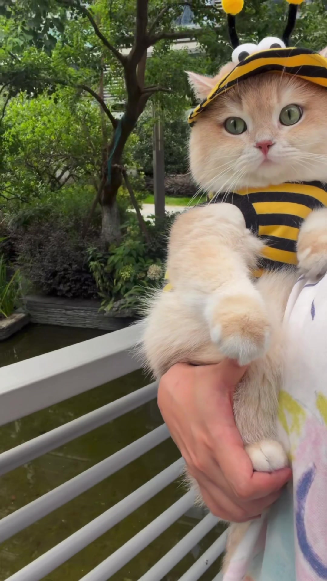 @My Daily Dose of Aww