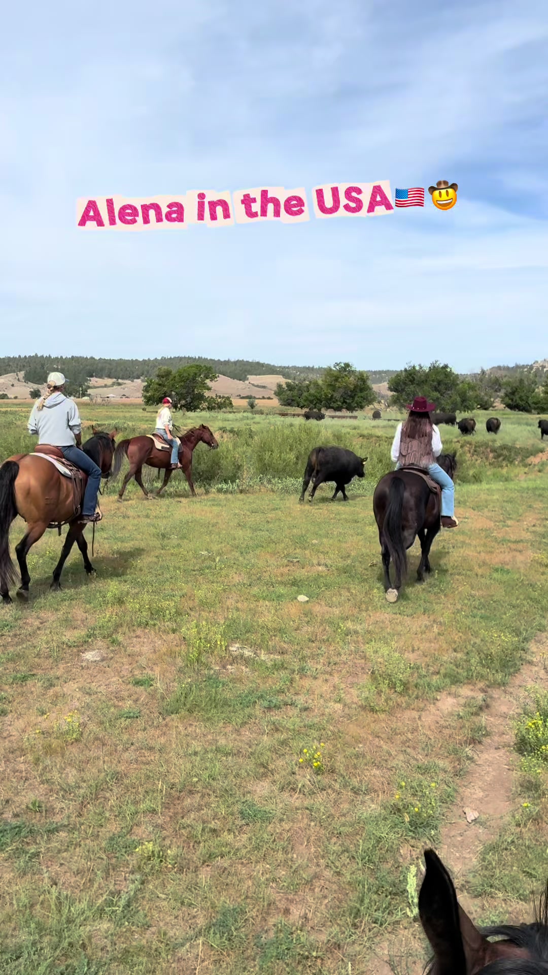 @Alena🤠