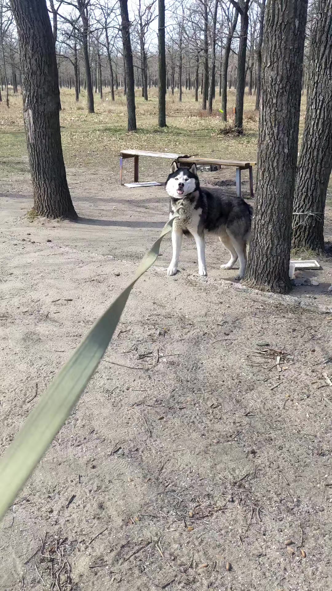 @𝔻𝕒𝕣𝕜_𝕙𝕦𝕤𝕜𝕪