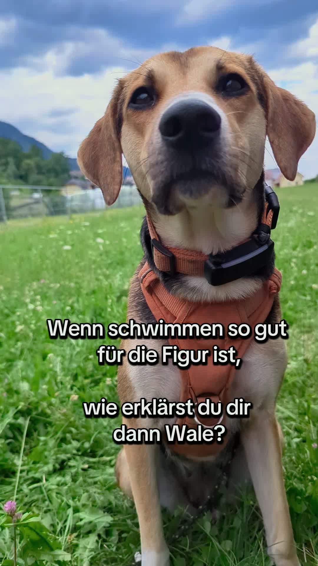 @ꪑⅈꪶꪖ ꪑꪮꪀᥴꫝꫝⅈᥴꫝⅈ