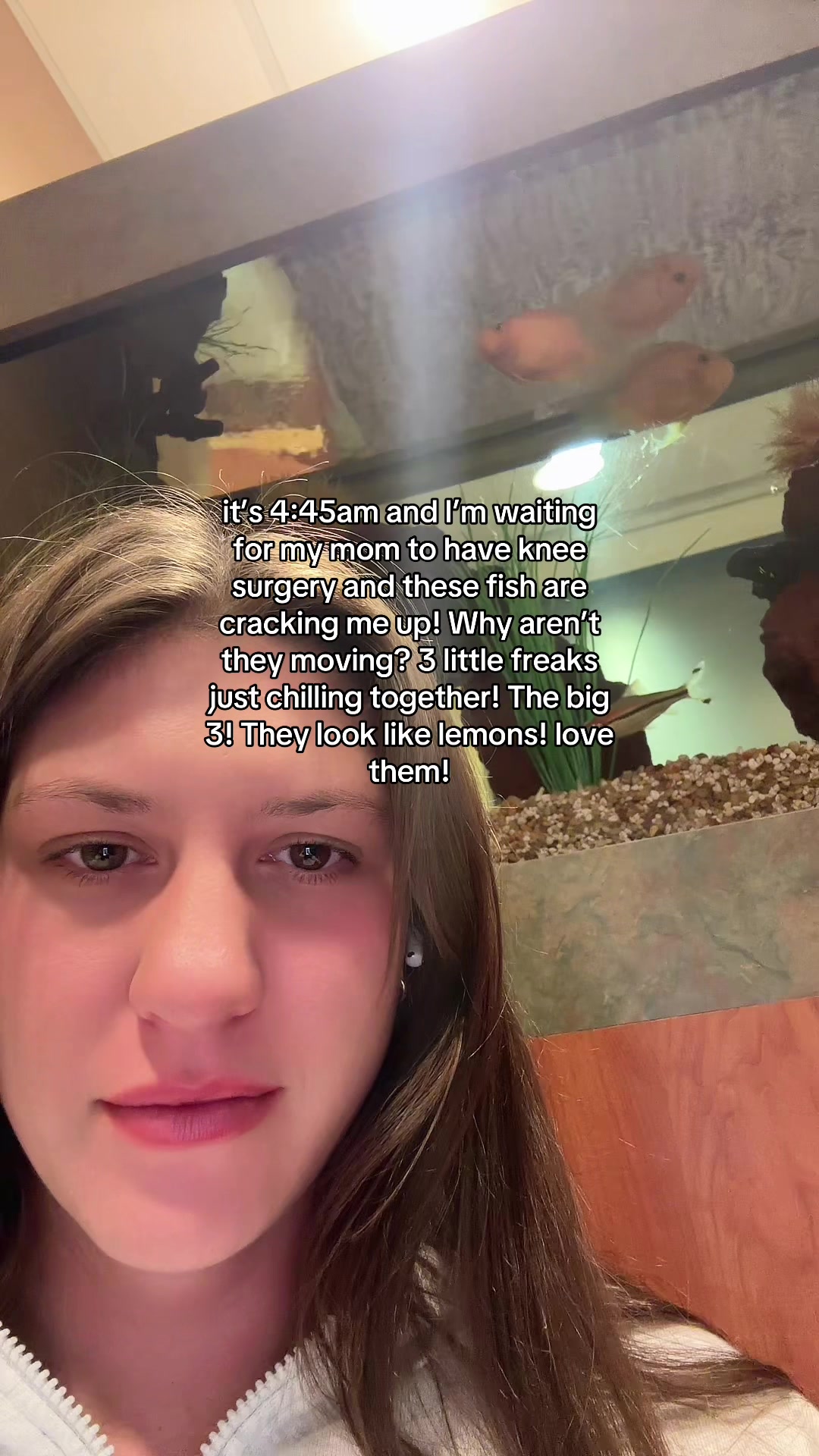 @abblamps