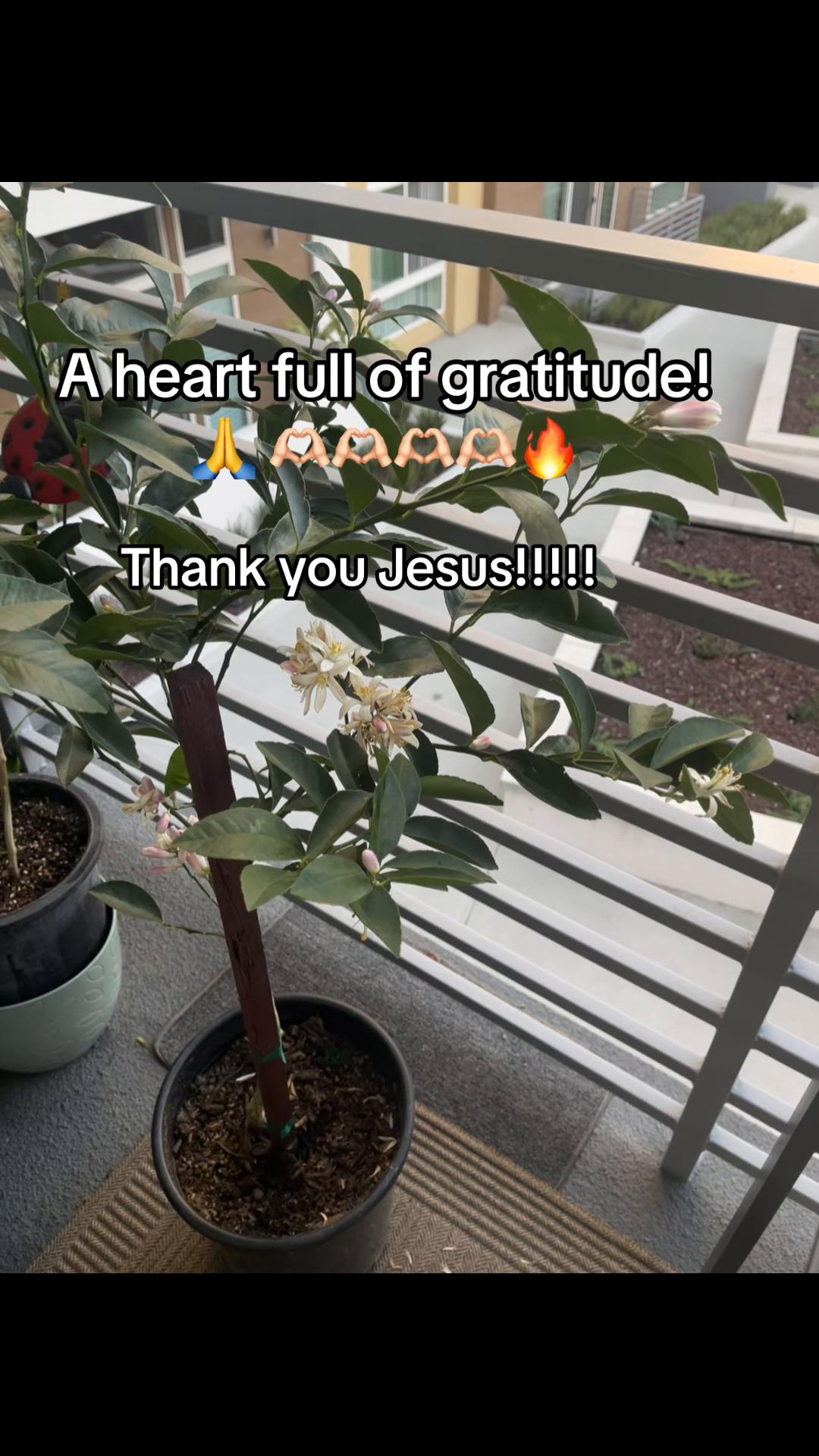 @Happy@Mama