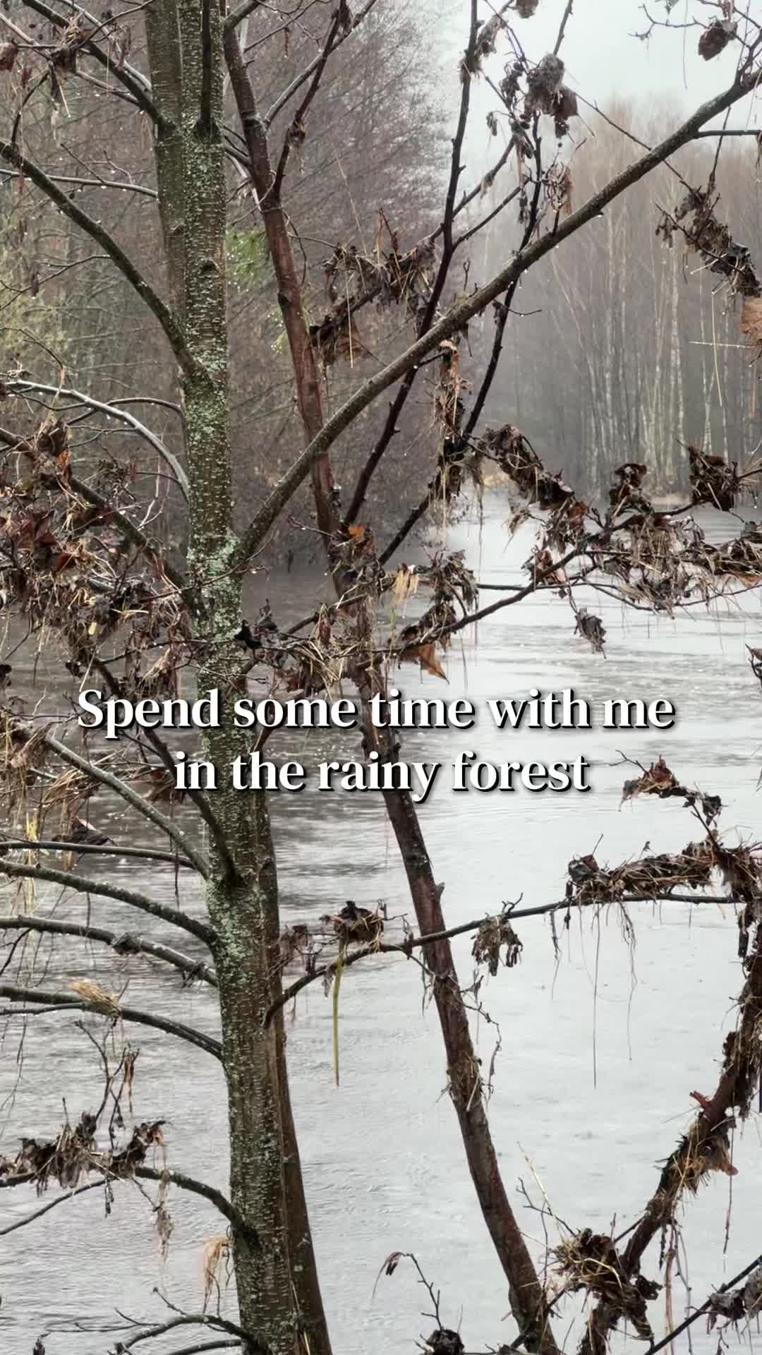 @Кирчик
