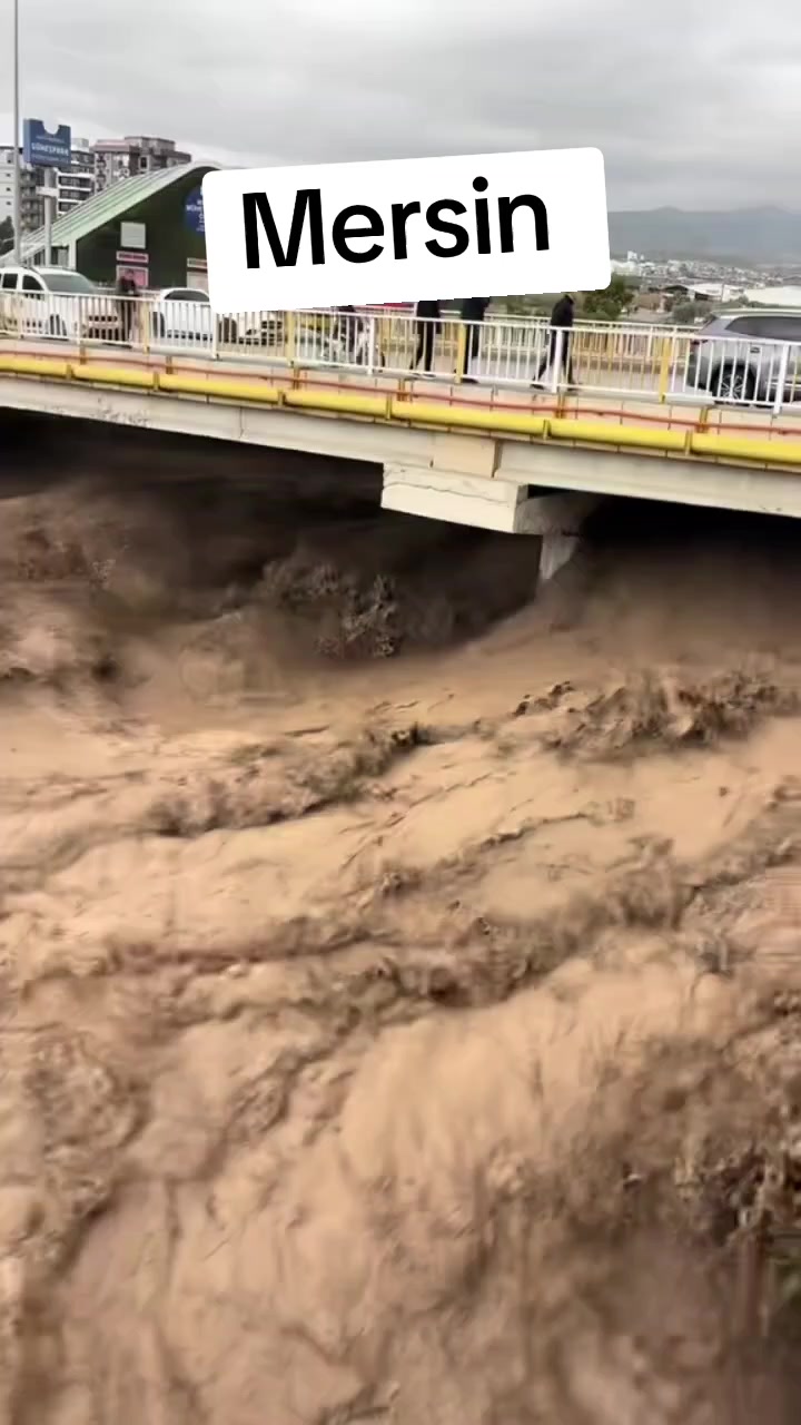 @bahri kaya