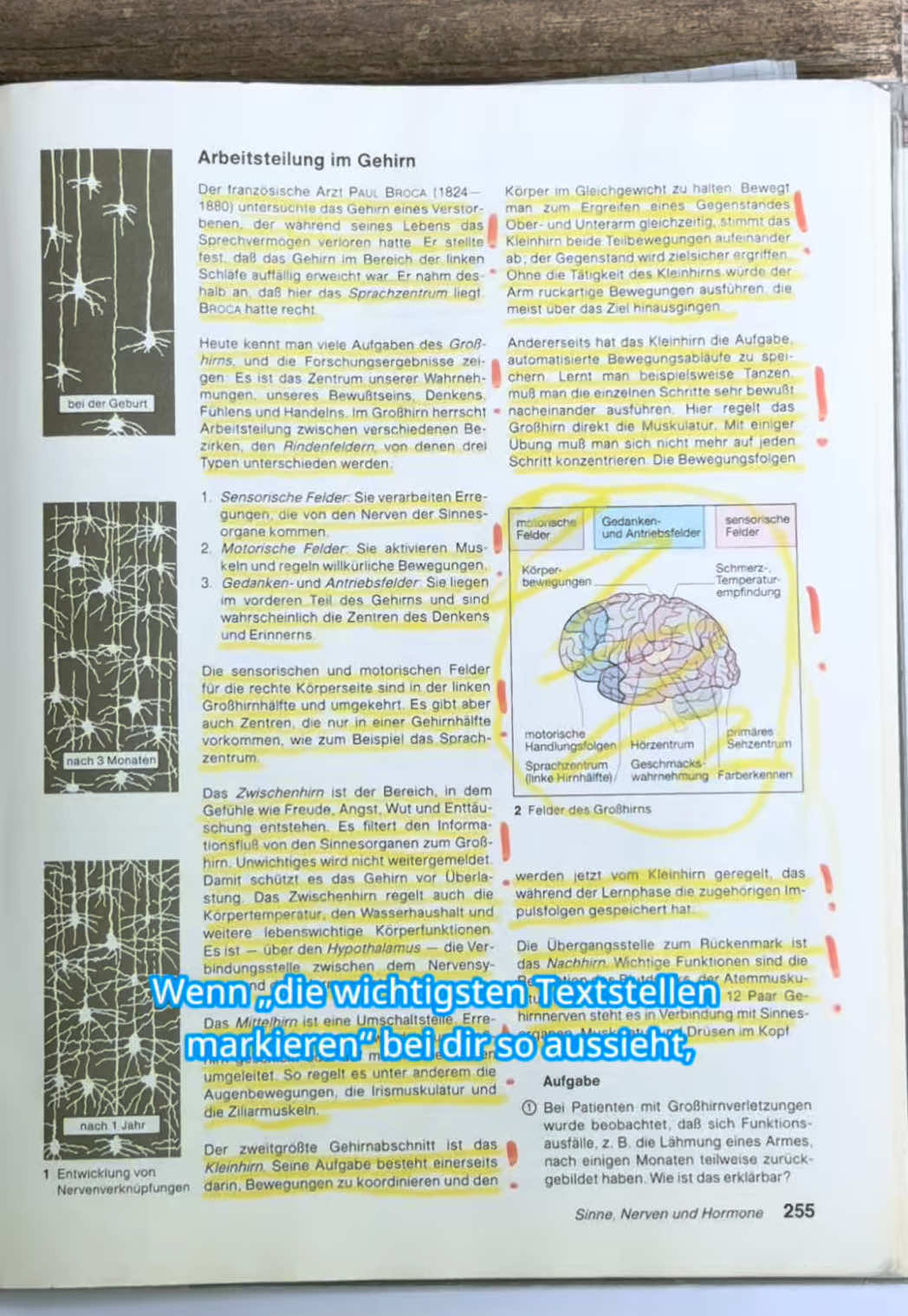 @Studyflix