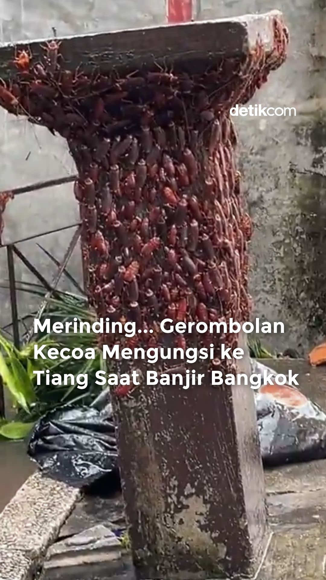 @detik.com
