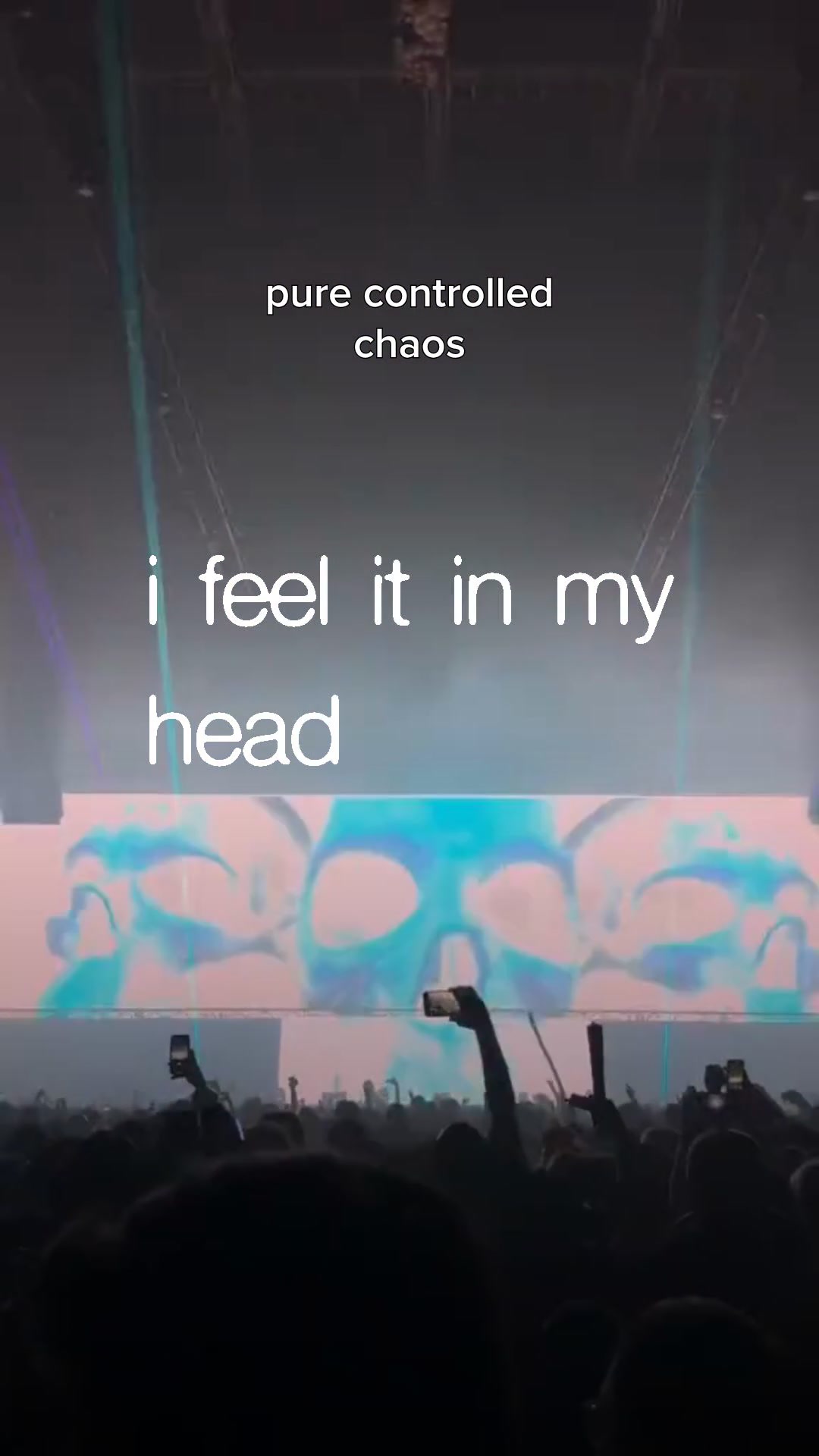 @Daily Rave