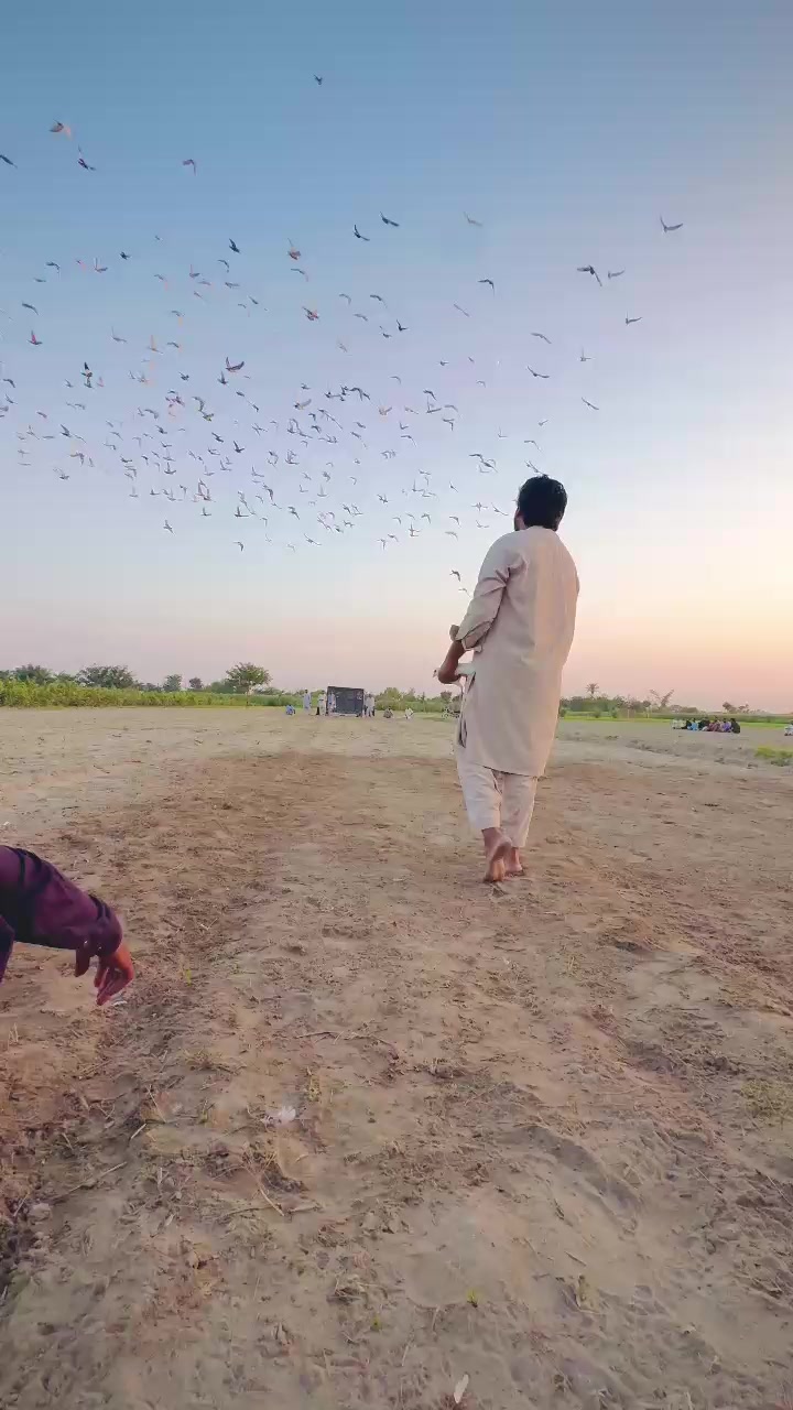 @عدیل رحمن لیہ وال کبوتر باز