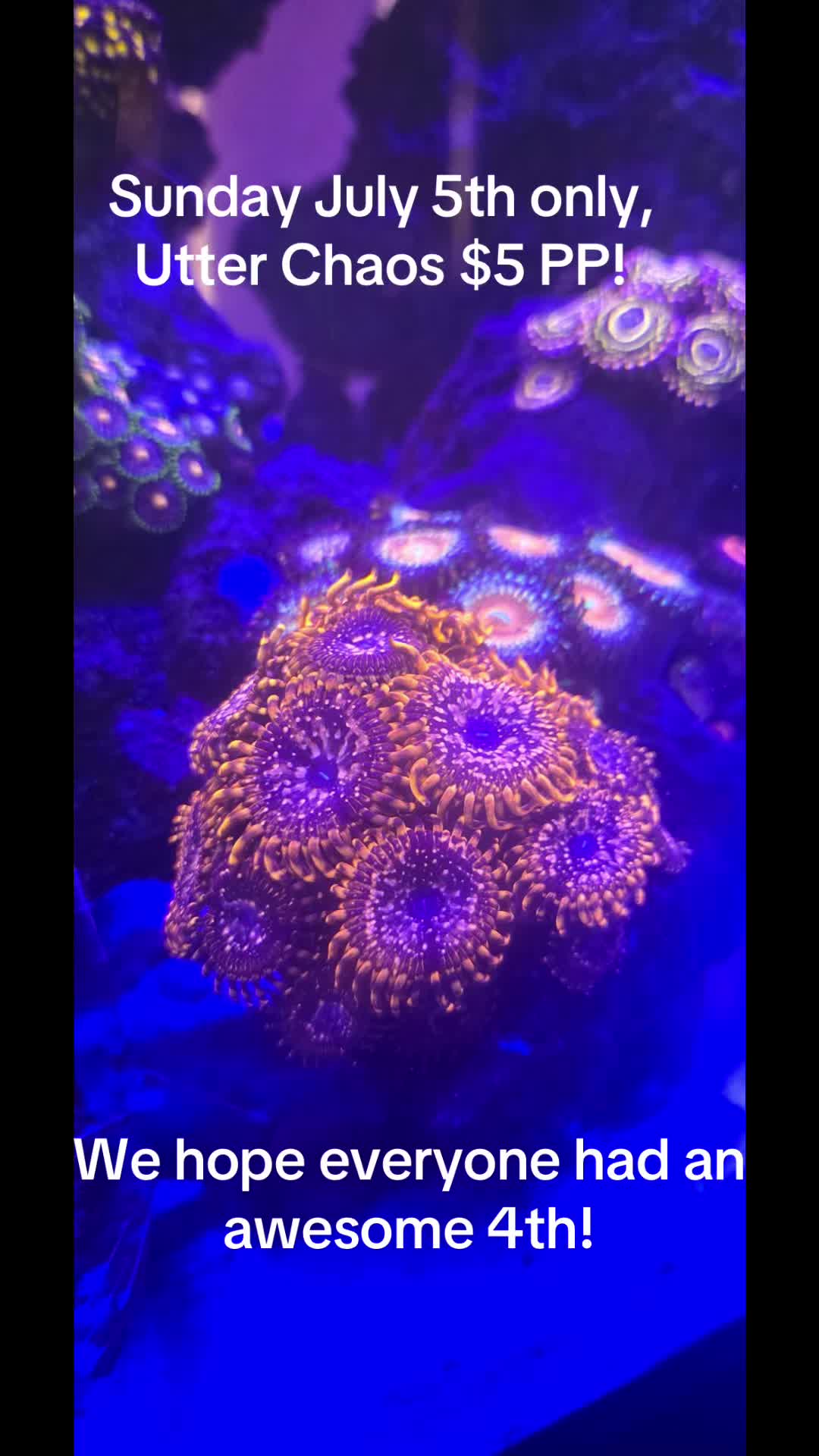 @fintastic aquariums