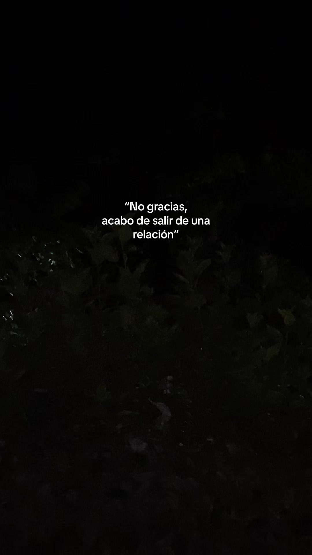 @🤷No disponible 🫤