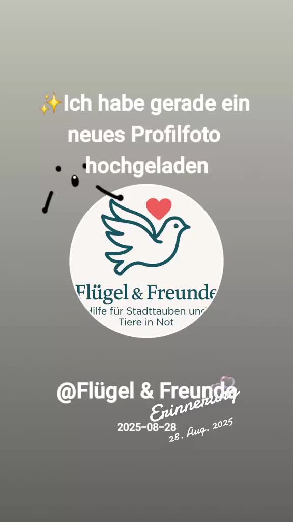 @Fl&uuml;gel & Freunde