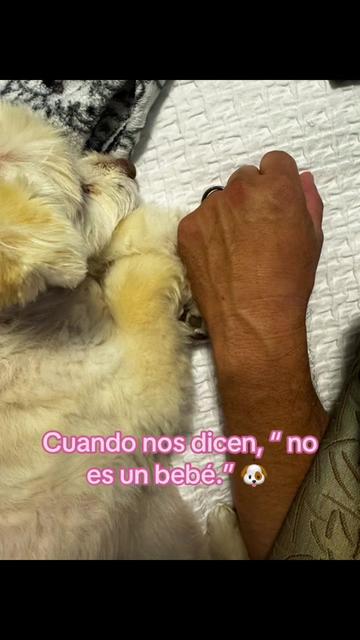 @lasdefensoras