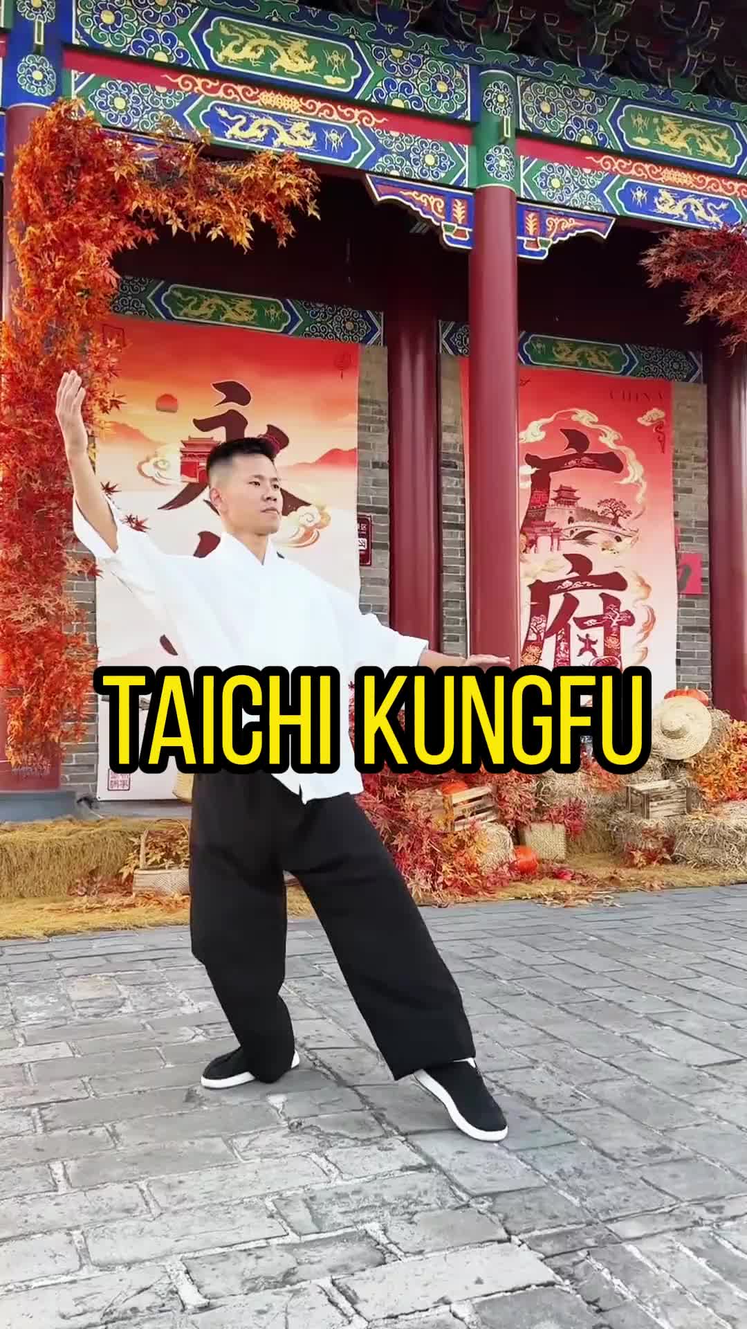 @taichituan