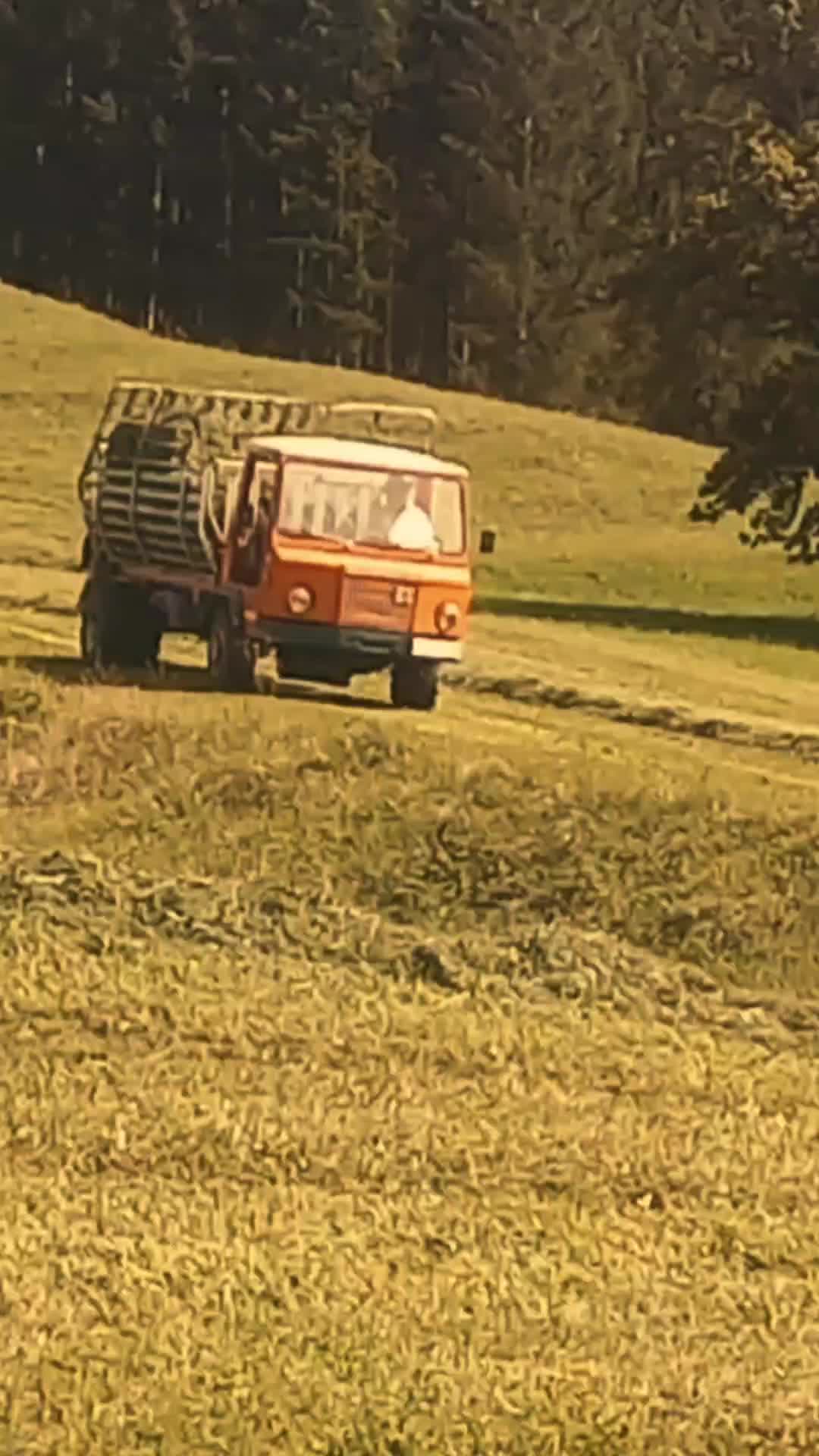 @landwirt_manuel