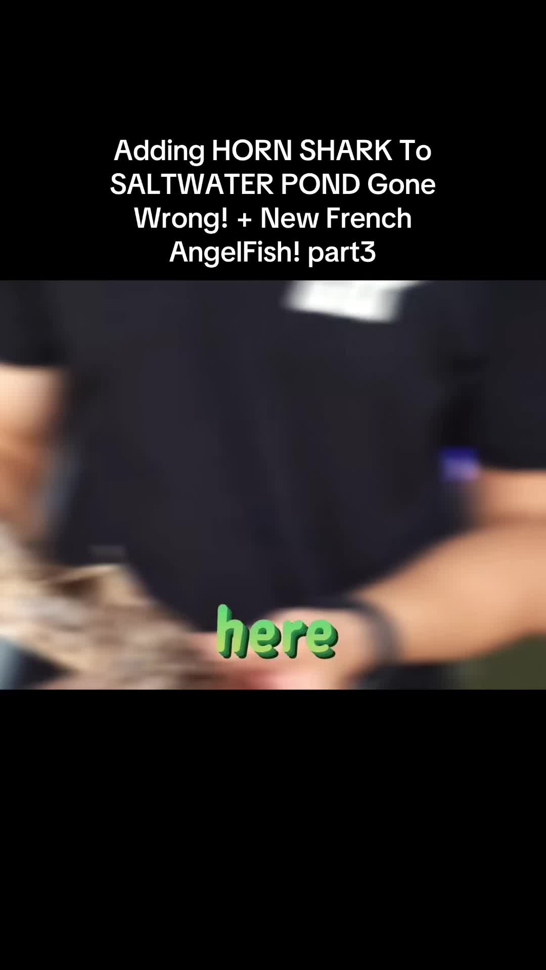 @fish 🐬🐬