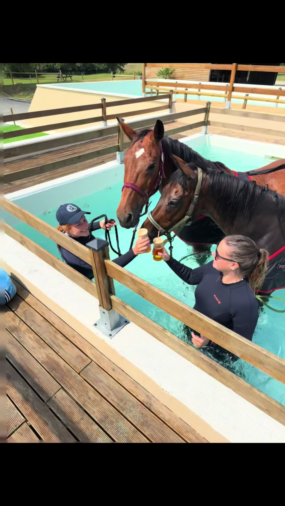 @Centre BienEtre Equin & Canin