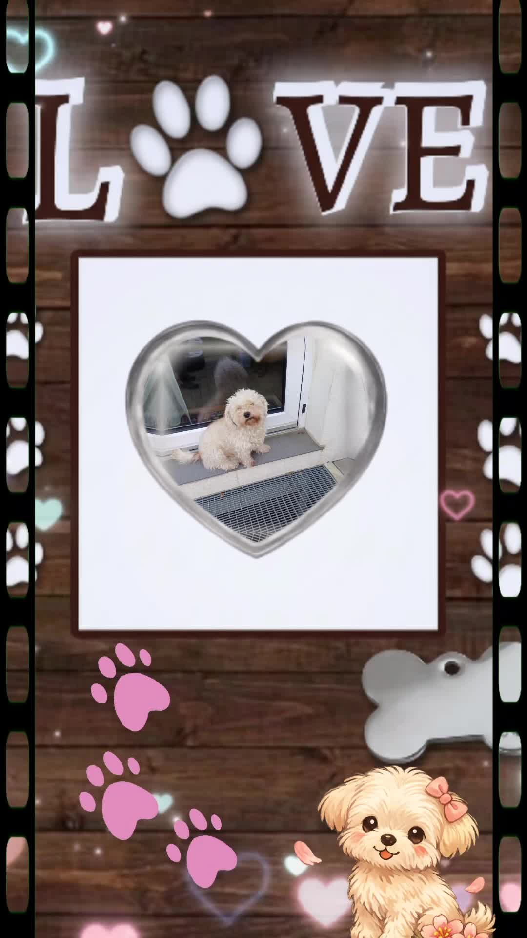 @HundeMom🐺🐶🐕🐶🥒