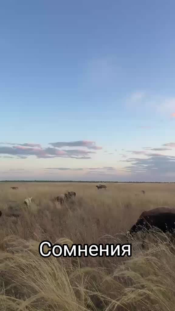 @Гани