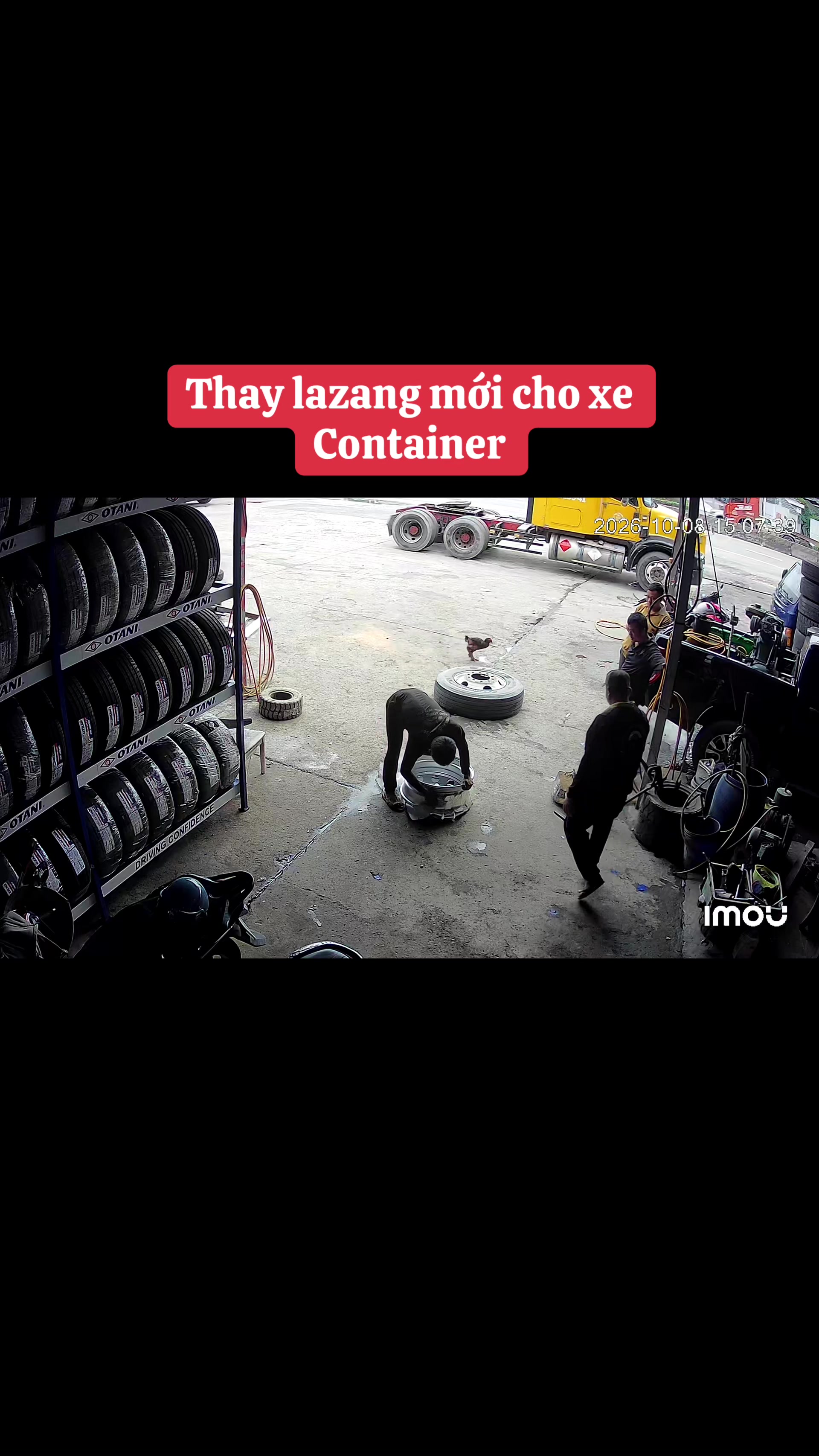@Cửu Long Thiên