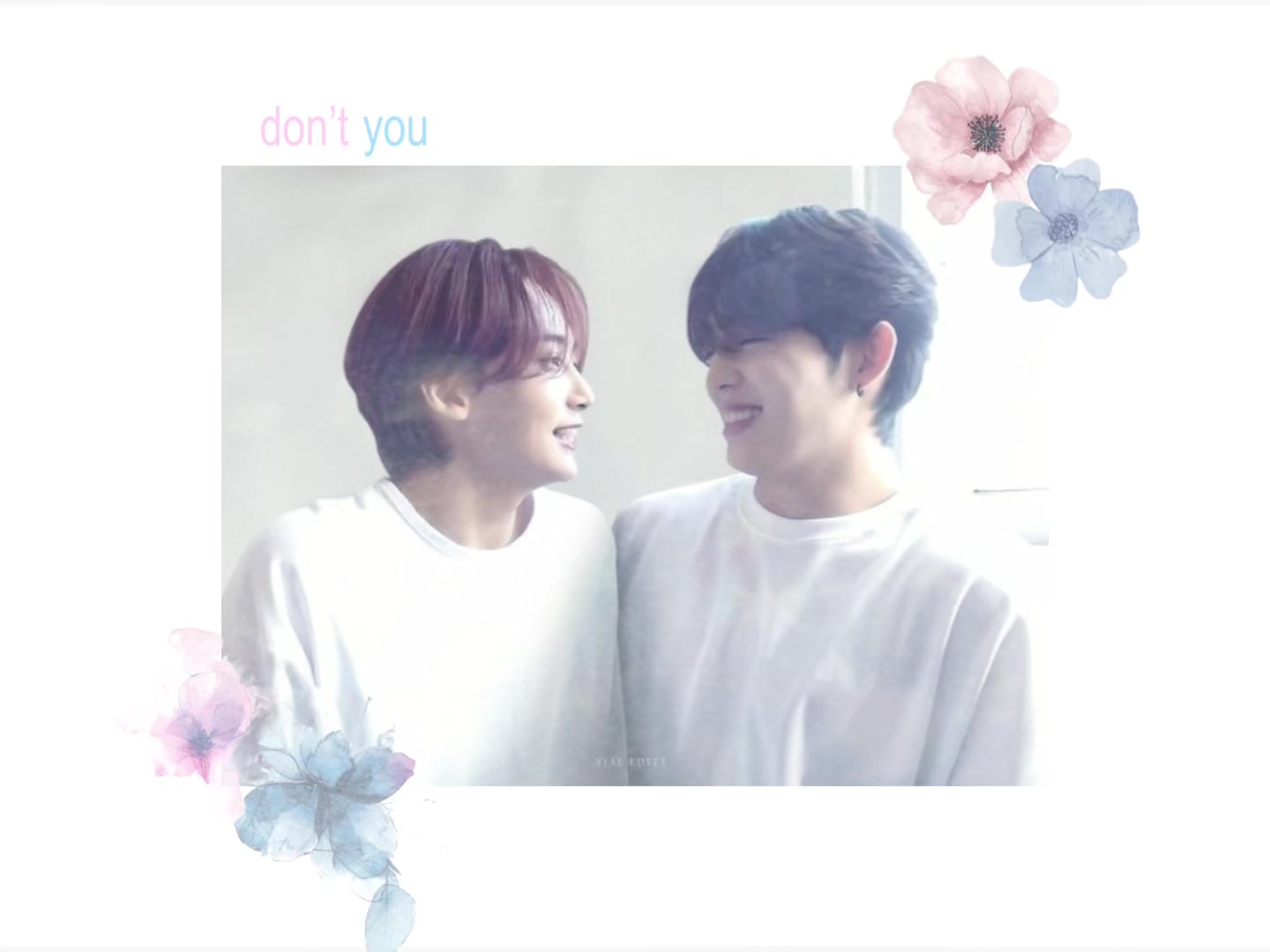 @๐ฃ๐ธ๐ฝ๐ธ ๐ฐโธ๊ณ.ห