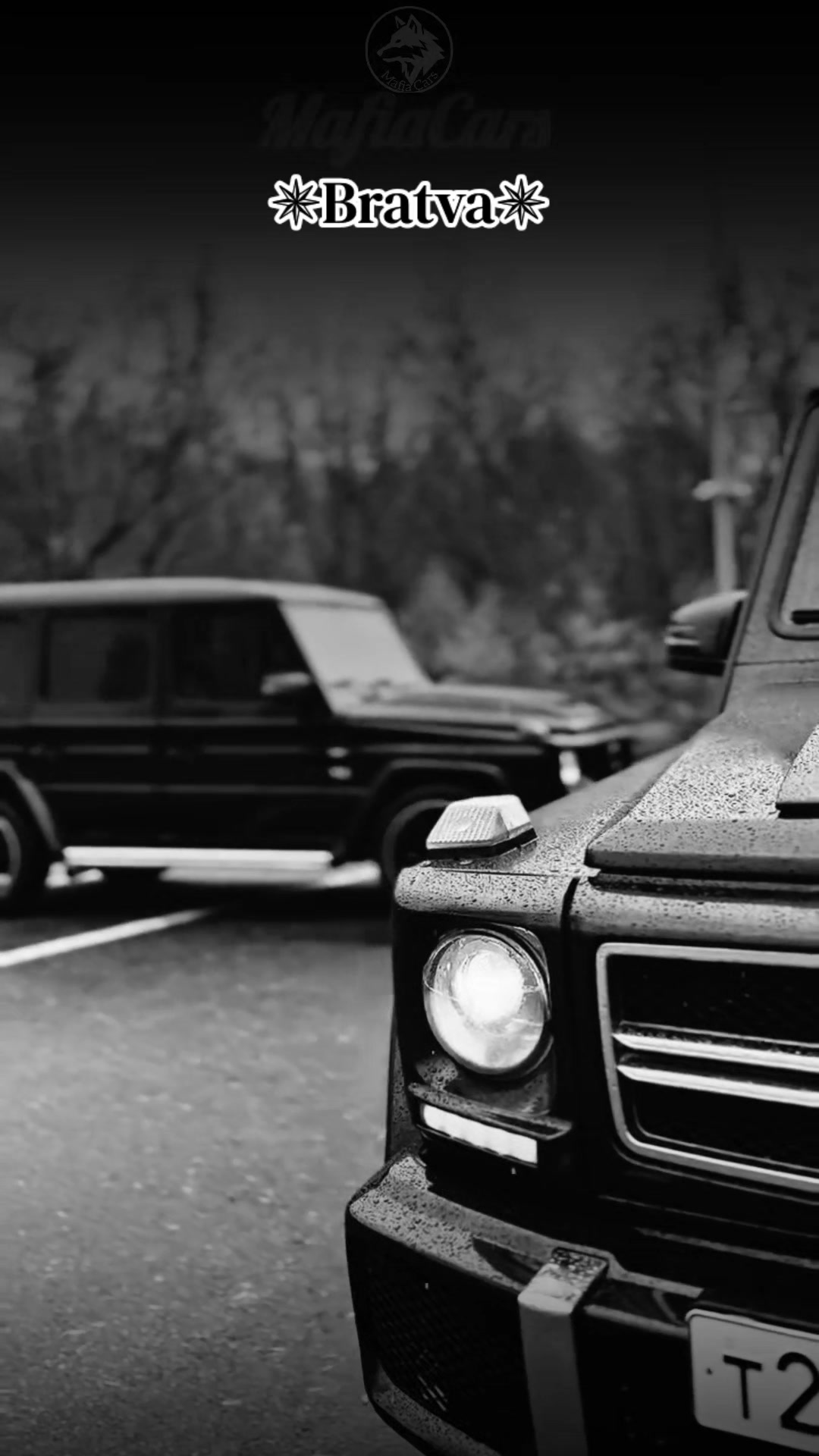 @MafiaCars