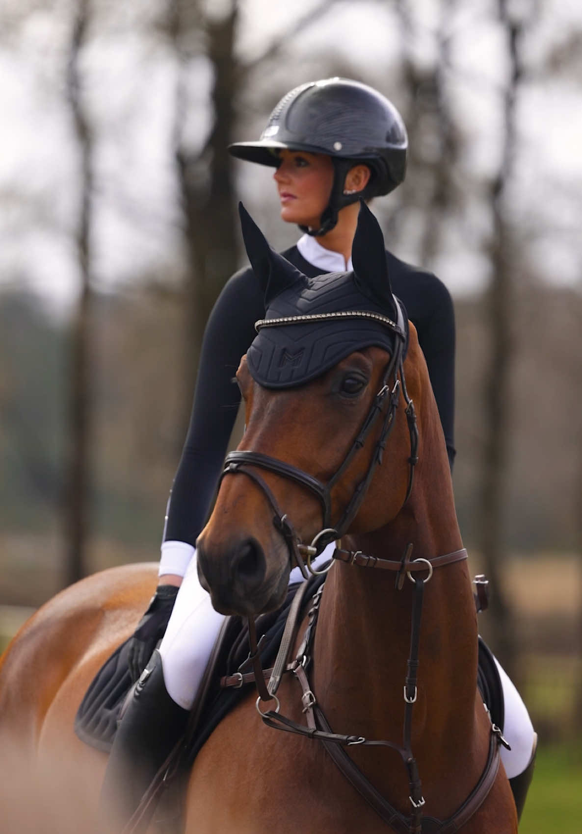 @Maximilian Equestrian
