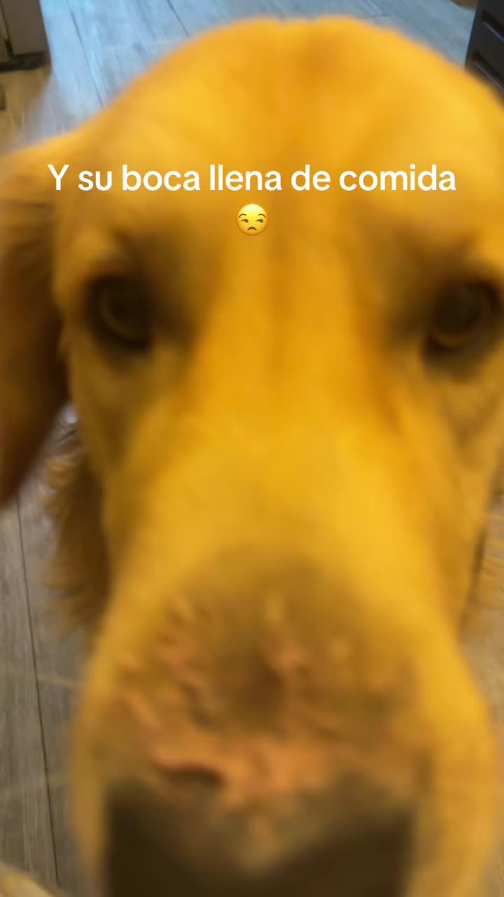 @Vivi Proaño Rds