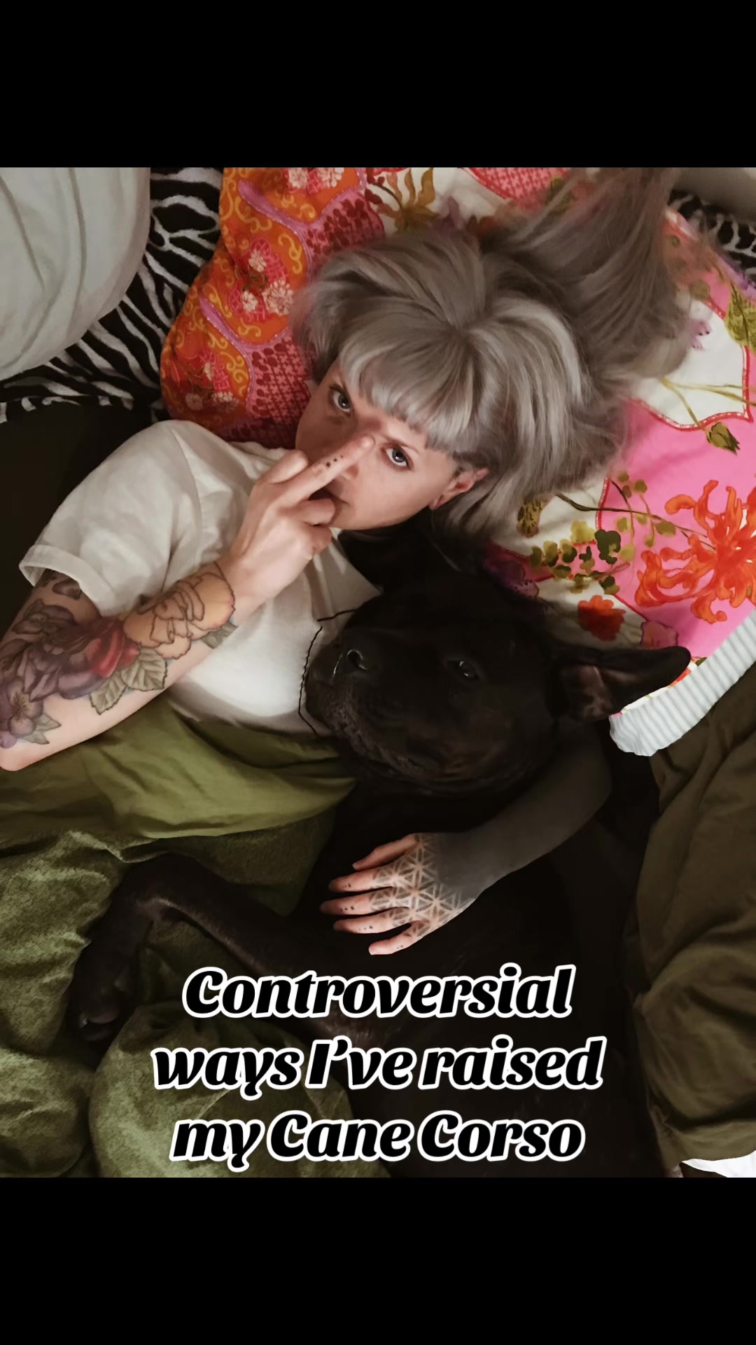 @lauren | dog behavior pro