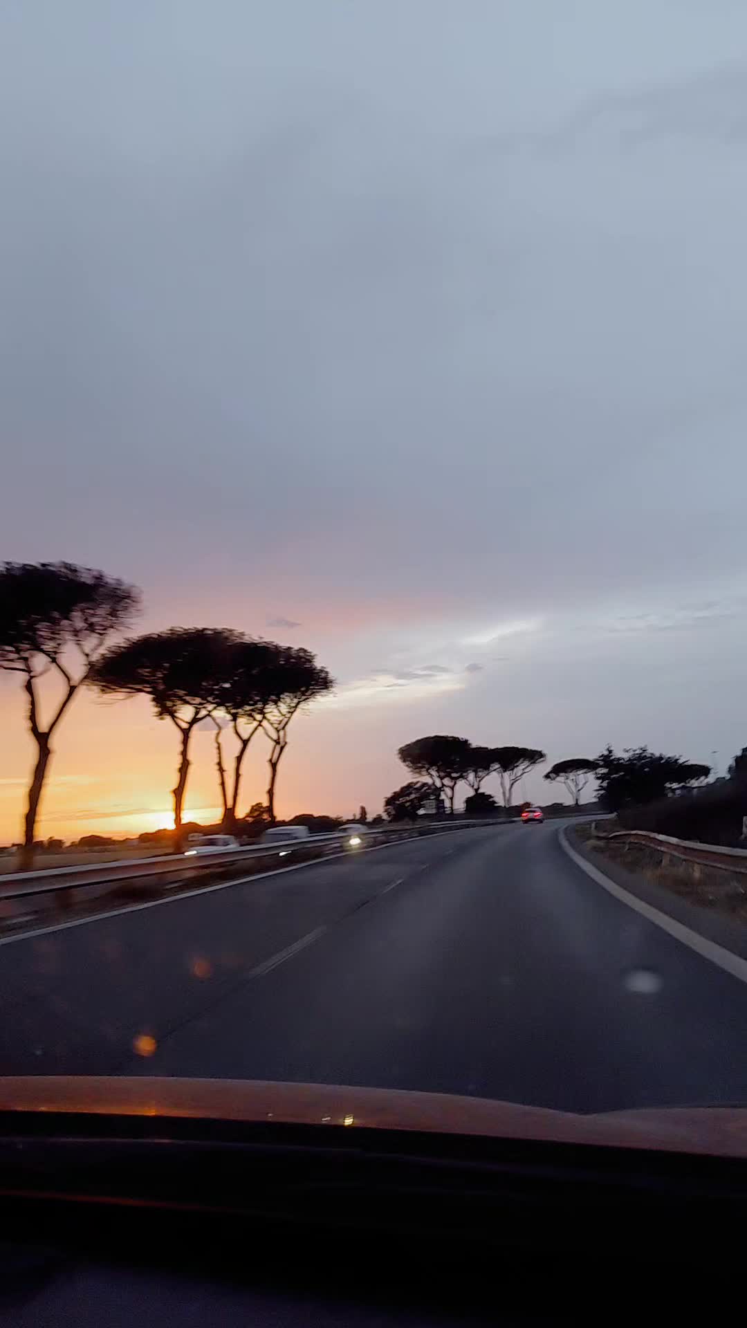 @Simona Troiani