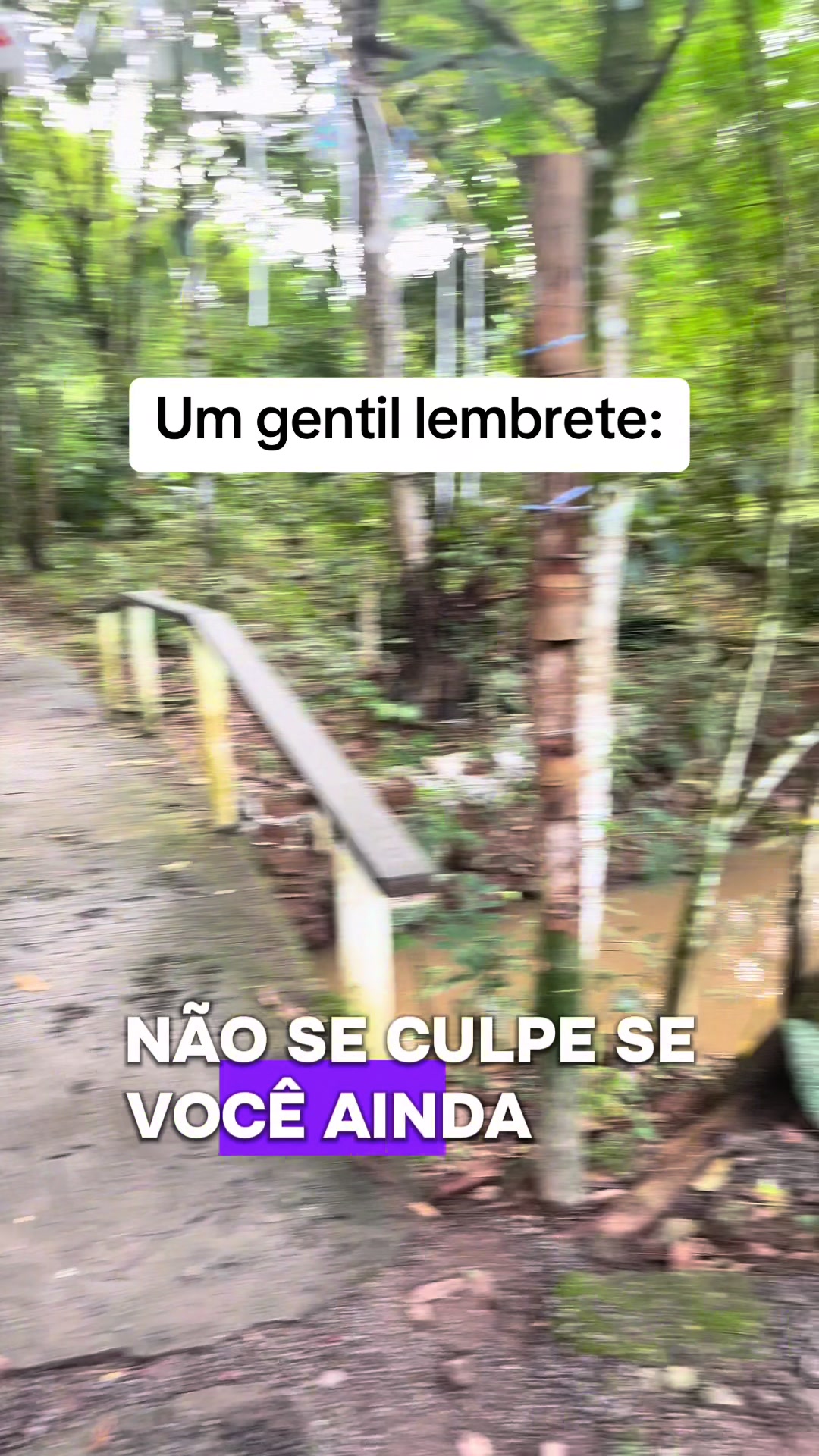 @Vanessa E. Santos | Terapeuta