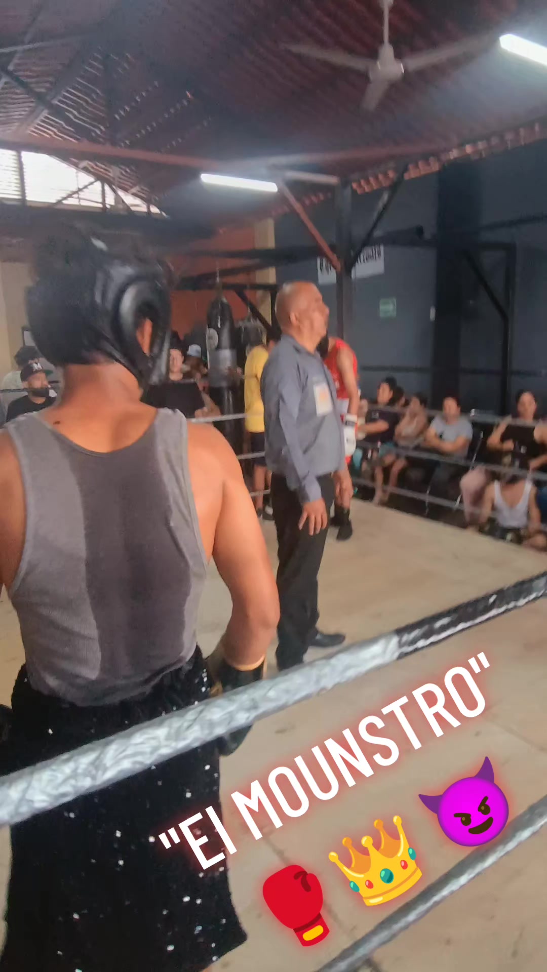 @netos boxing