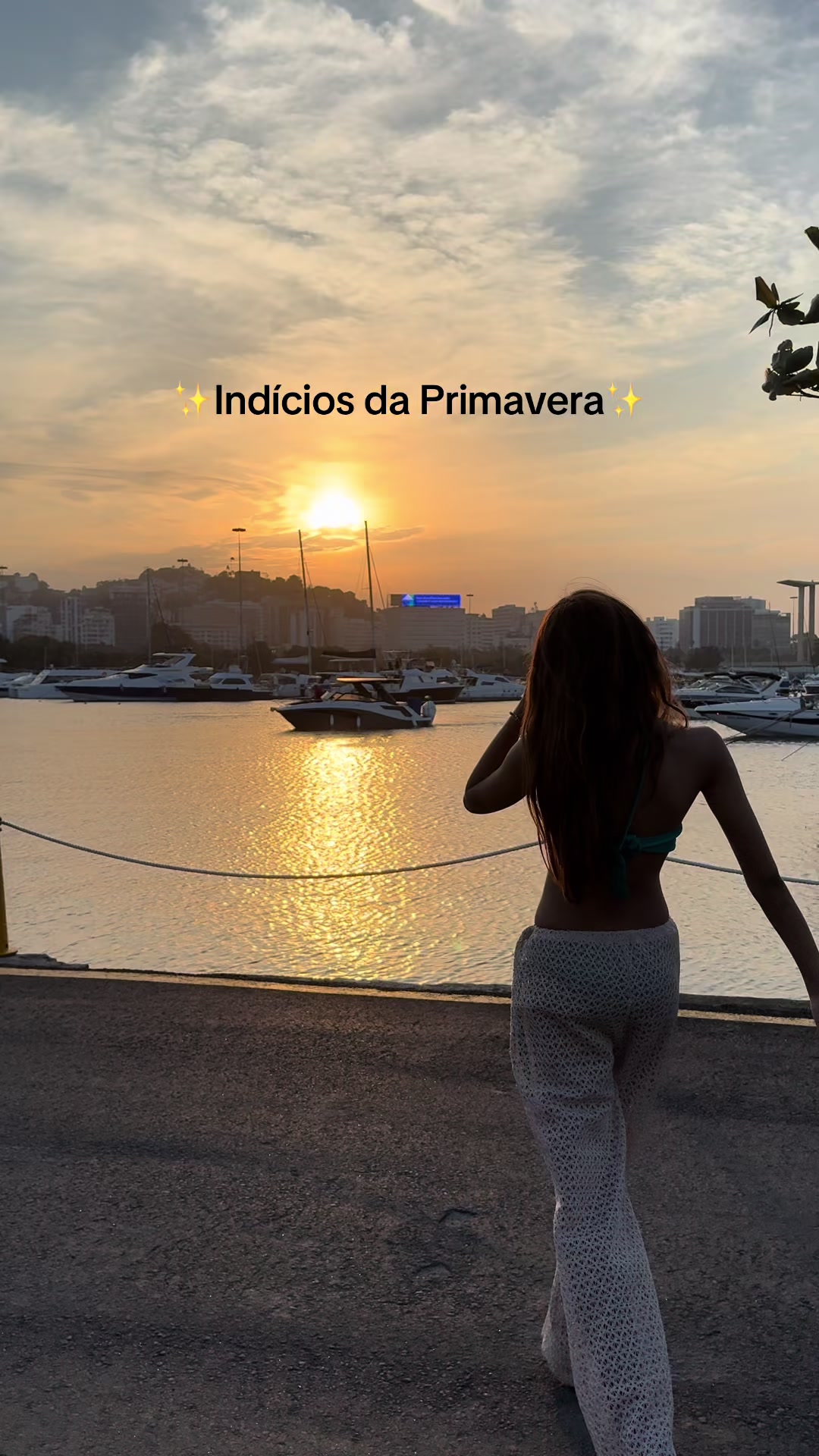 @Catarina Petrucio