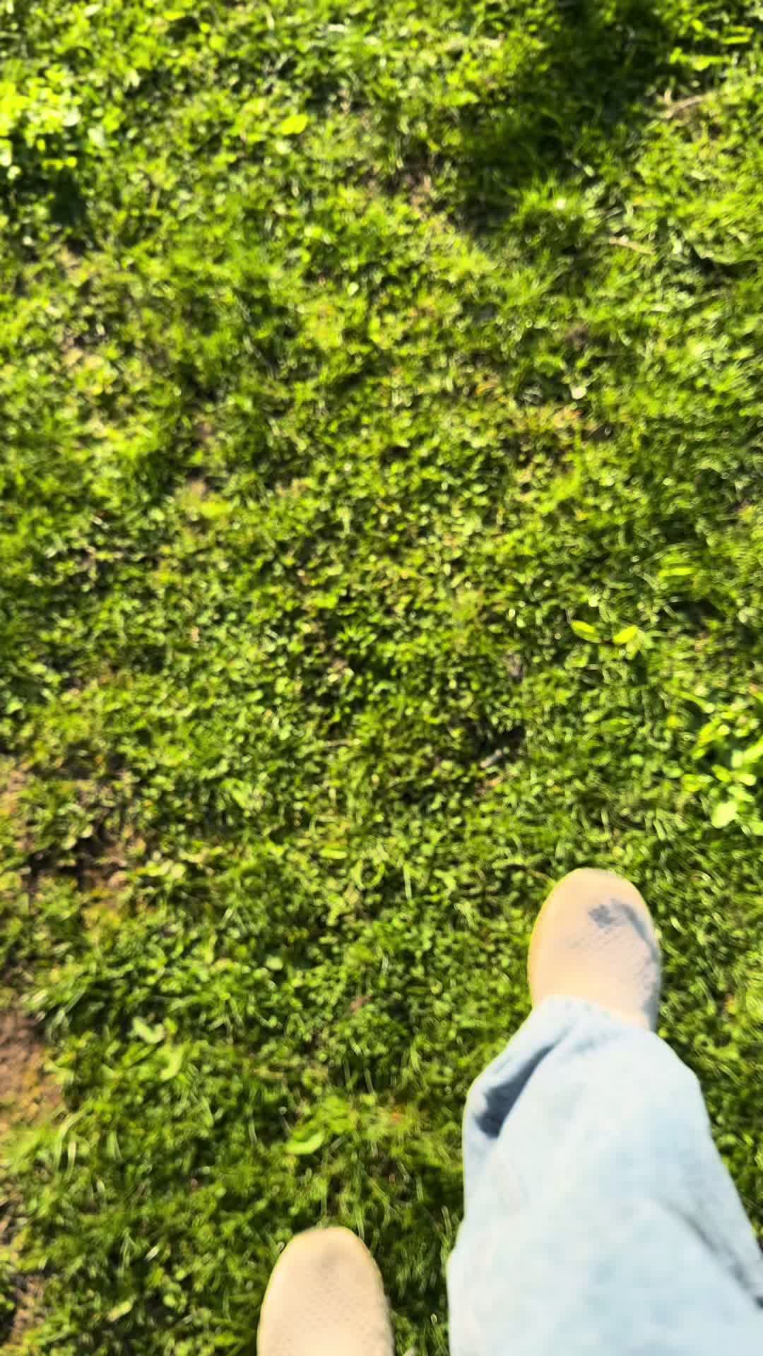 @olivrspnr