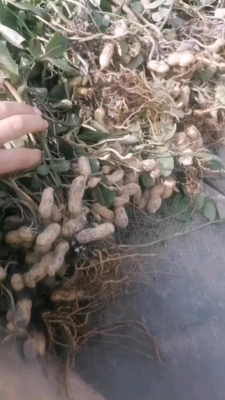 @zycienawsi51🧶