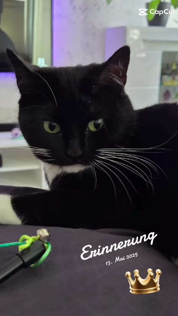 @👑😼Malia Die Königin😼👑