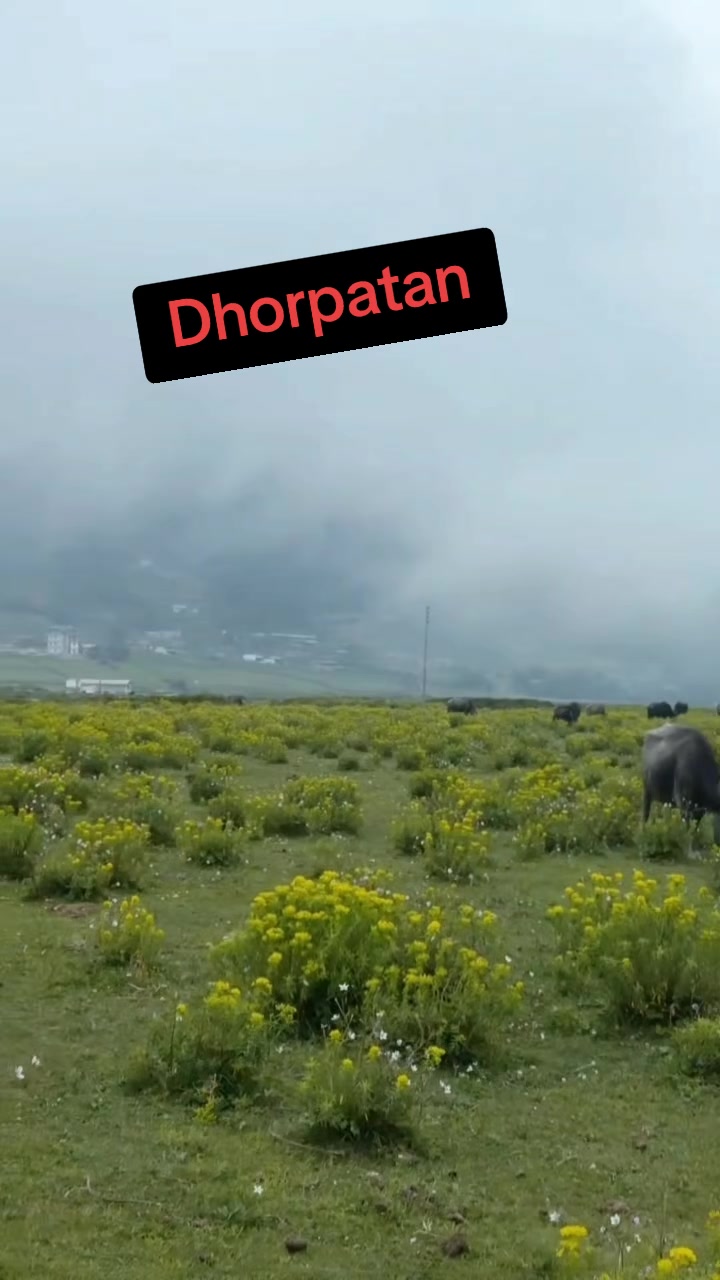 @Himal Mahara