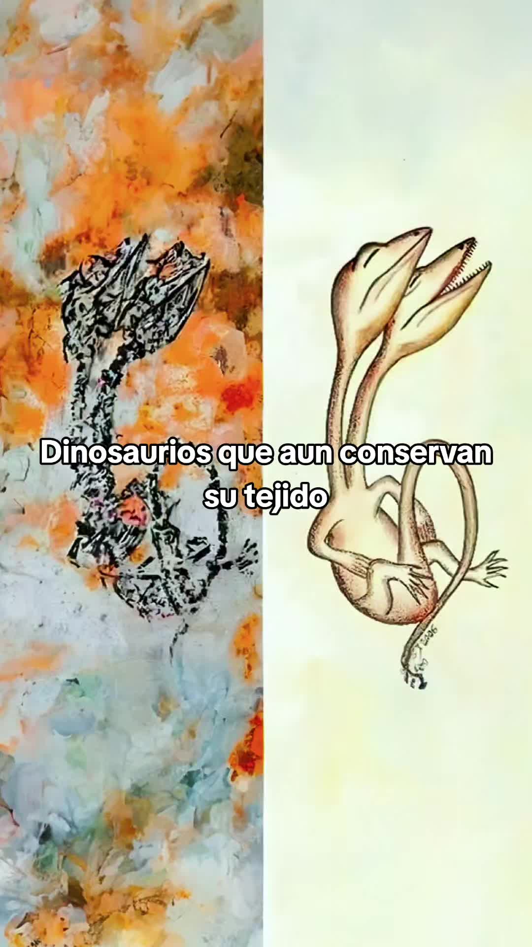 @Viva Historia