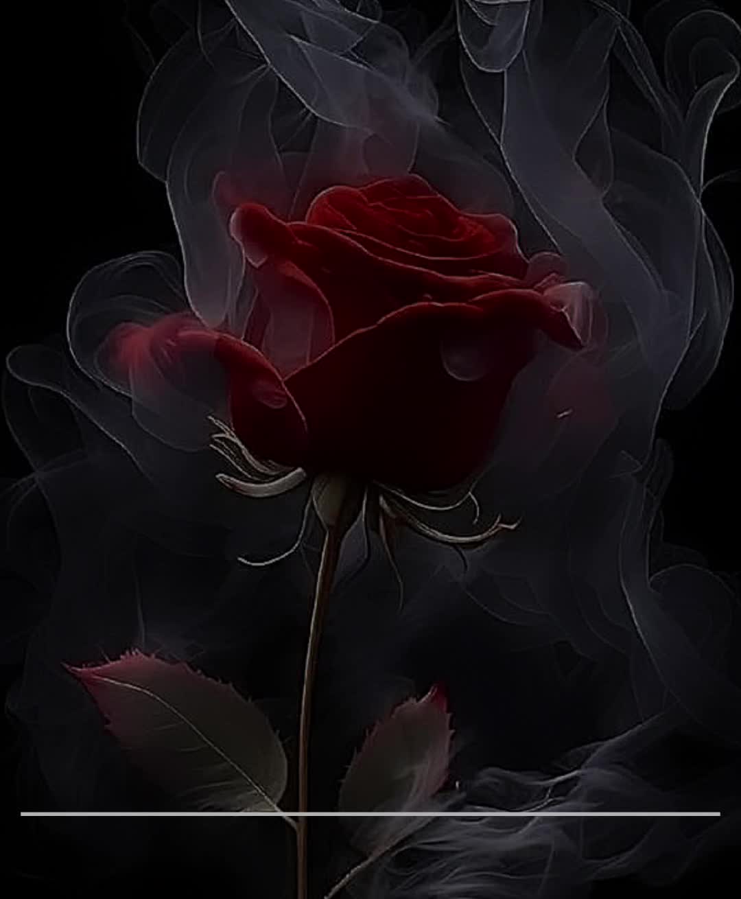 @♥️♥️♥️Dany 💋💋💋