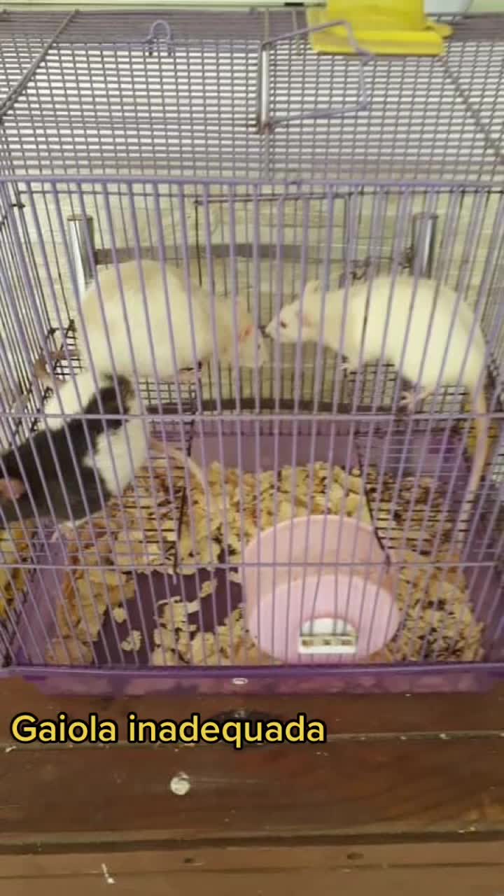 @Vick Modro