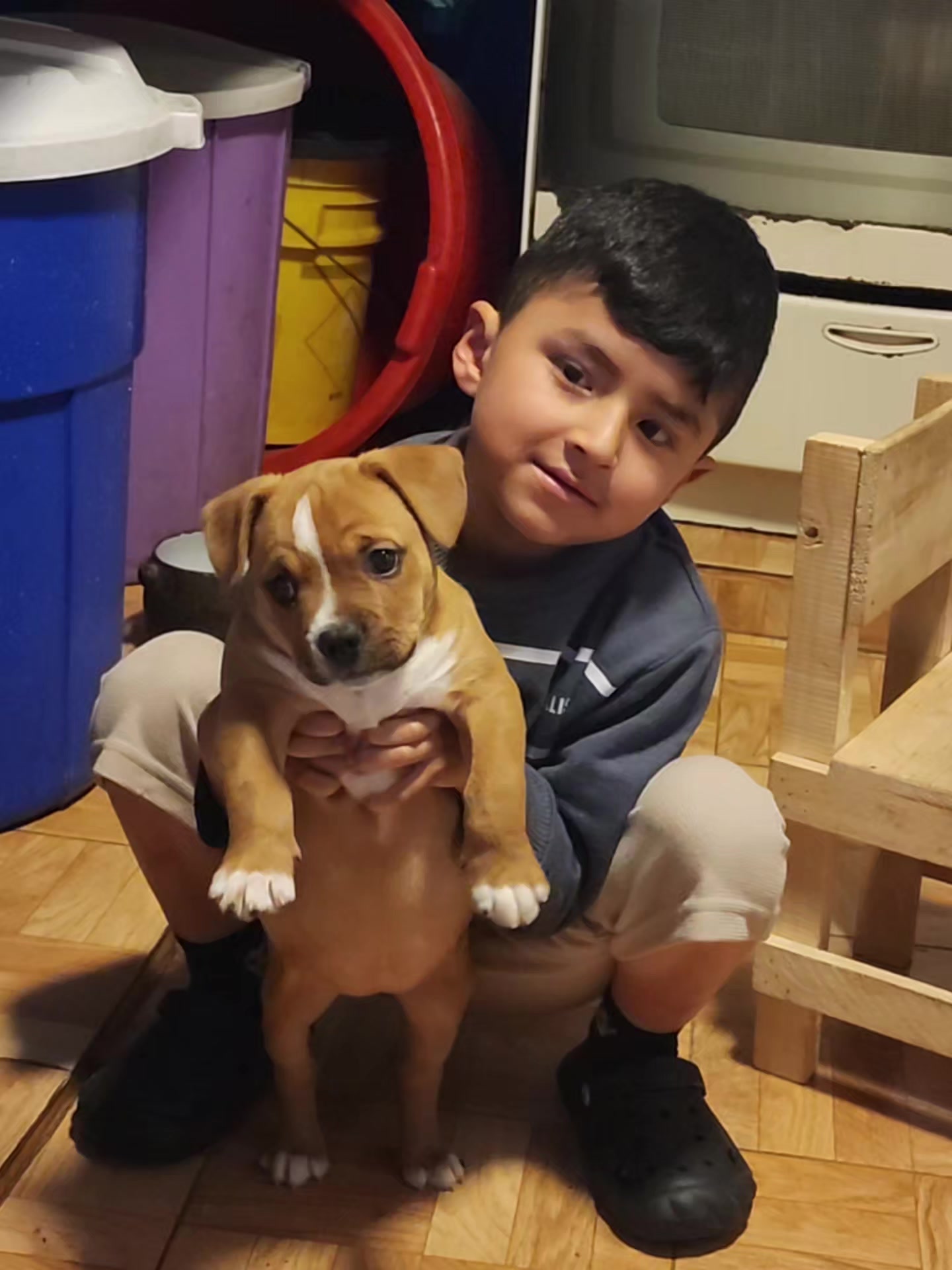 @Kratos kennel