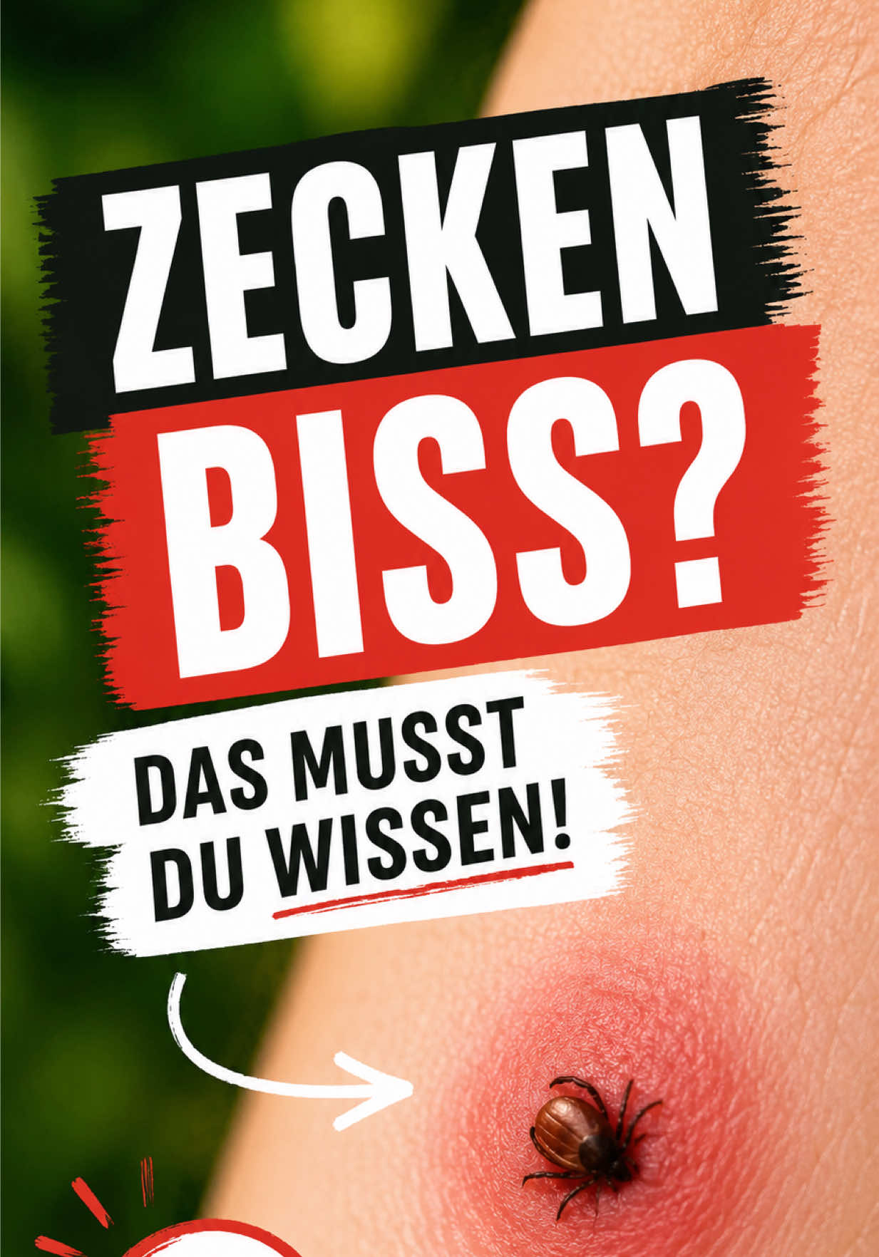 @INSAbenteuerHund