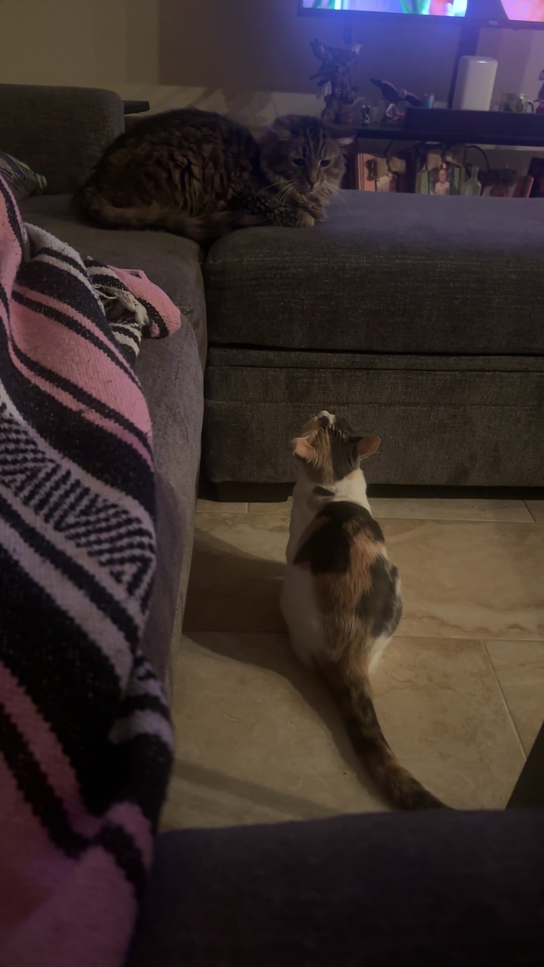 @🌸 Christina 🌸