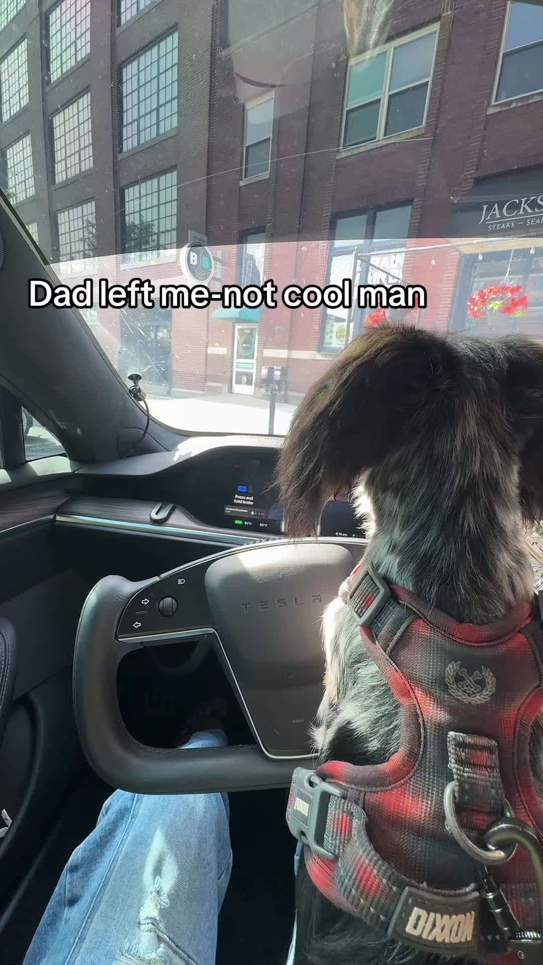 @JustaMom