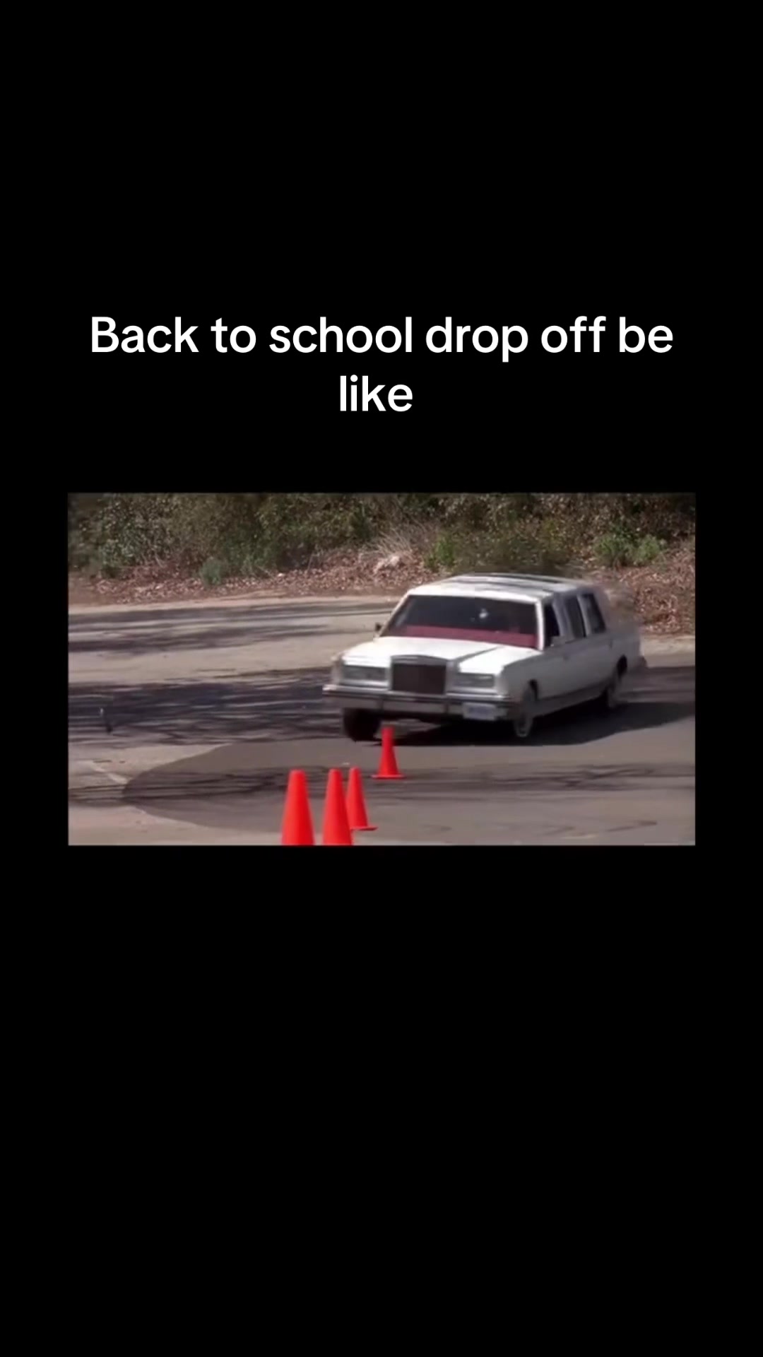 @Caylee Schutte