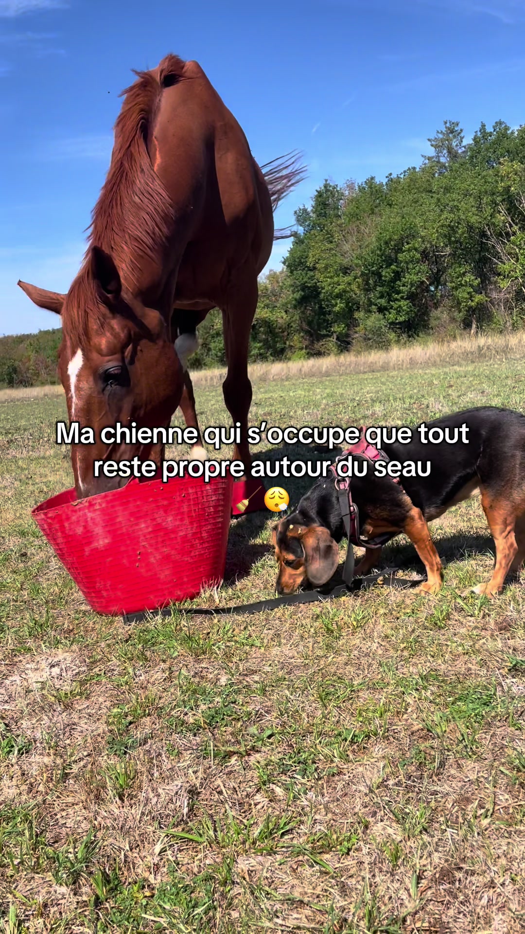 @Rolly&compagnie
