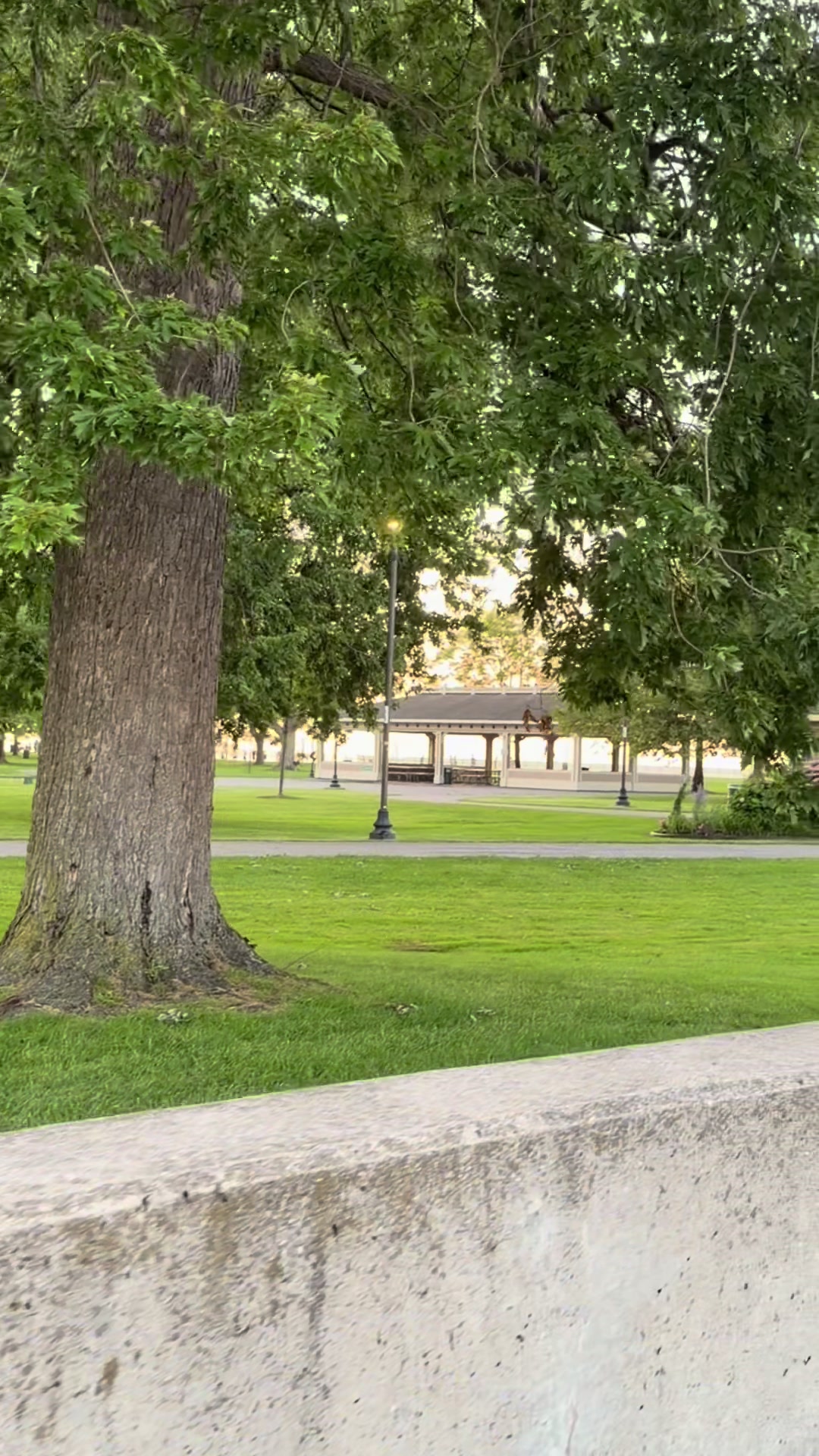 @Muzhda Sultani