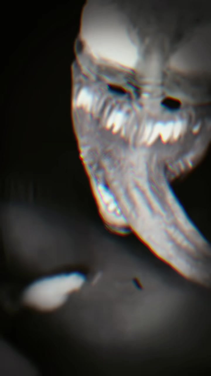 @TW5