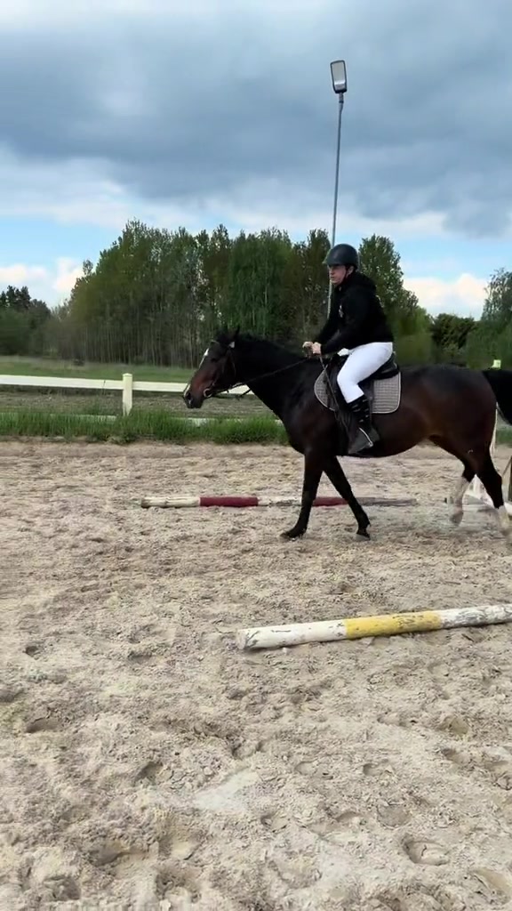 @Acrodance_horses