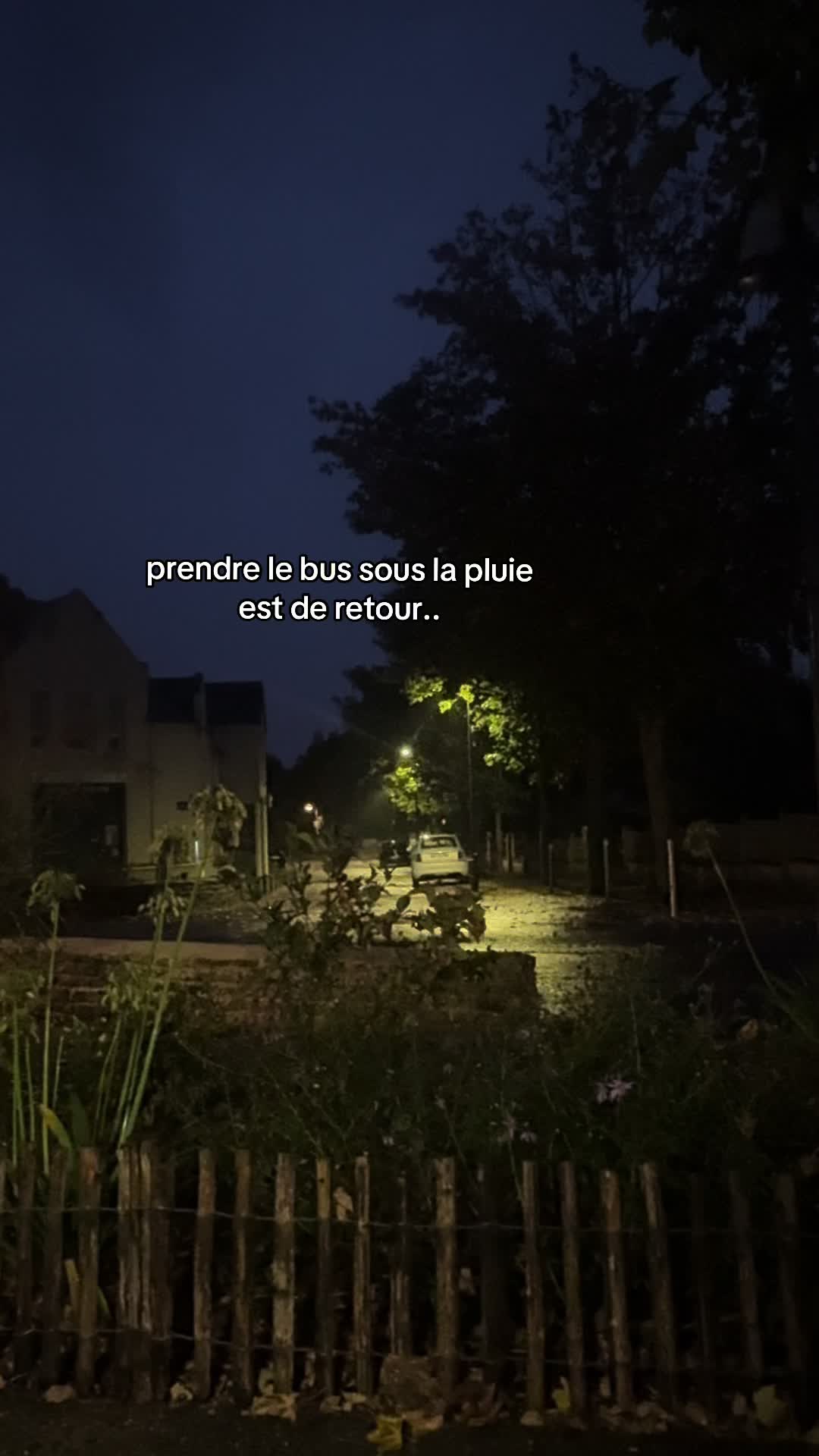 @🌷
