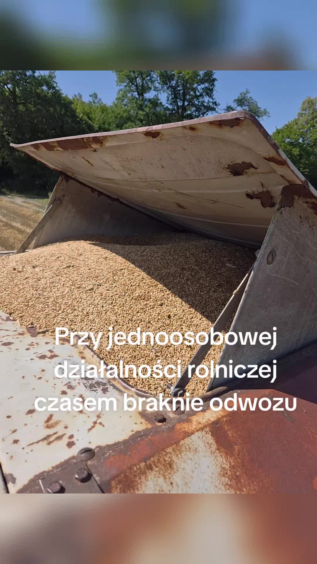 @seszunia
